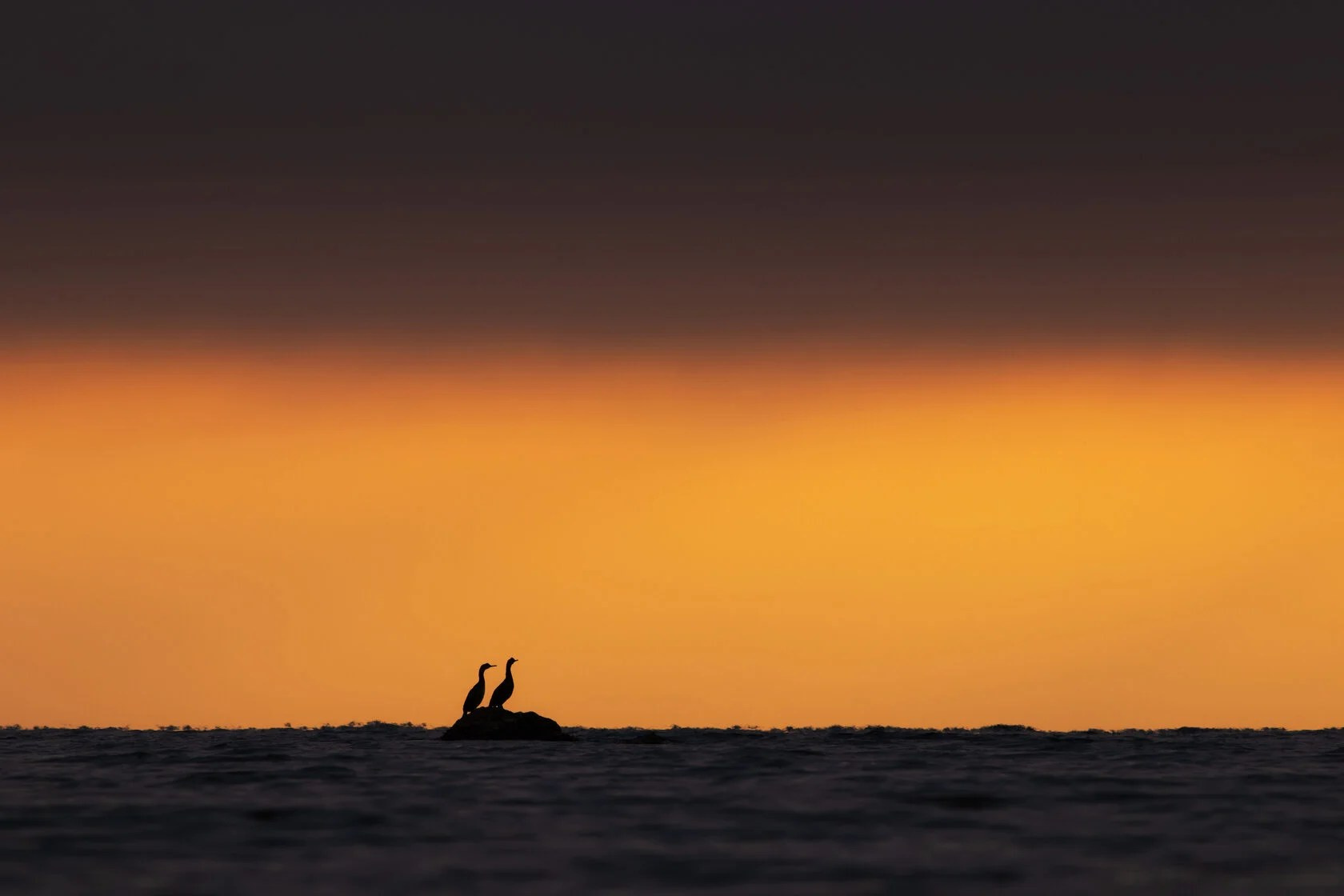 Общение|обучение|творчество. Пейзажный & Timelapse фотограф Роман Любимский