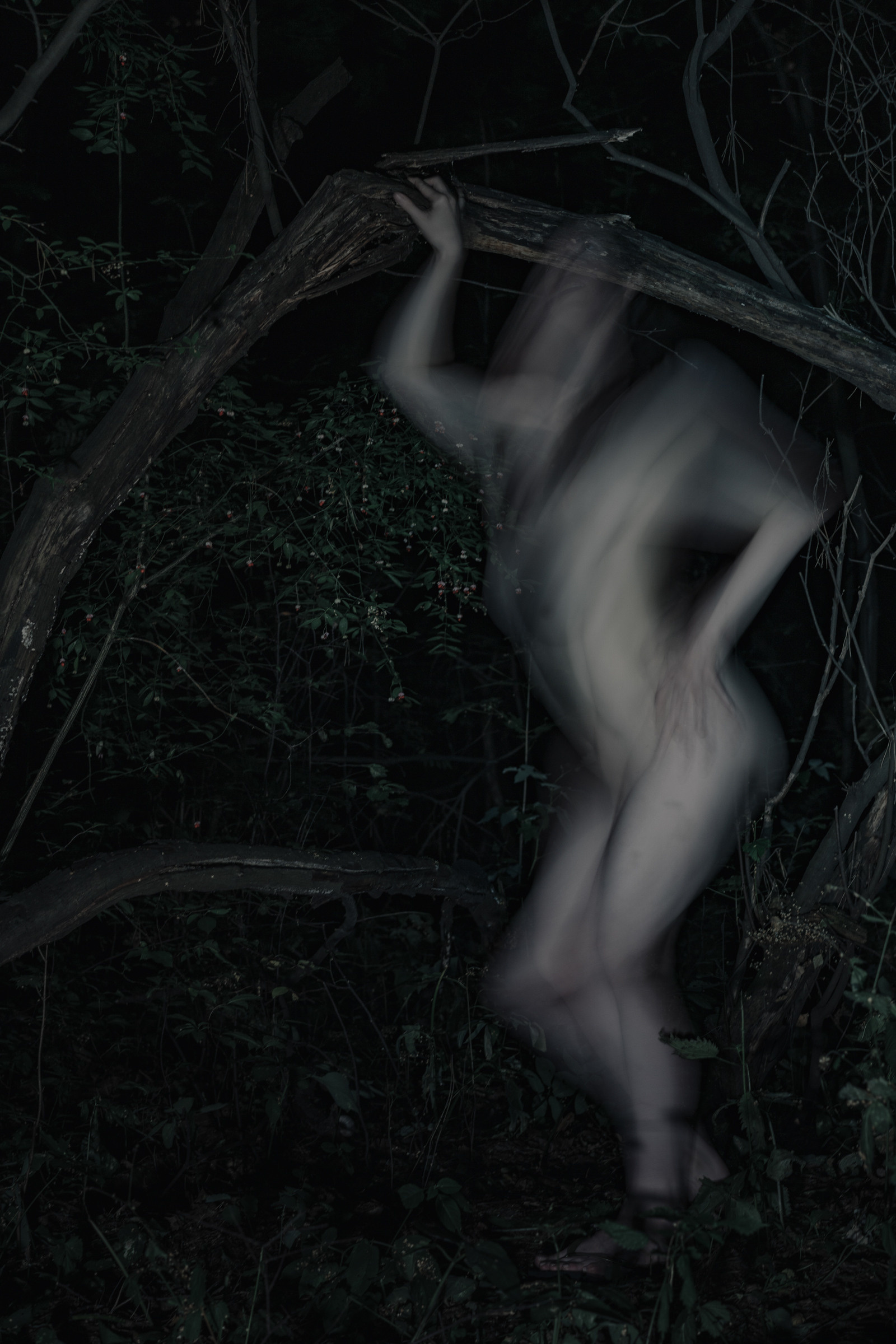 Nocturnal Animals. Mixed-media artist