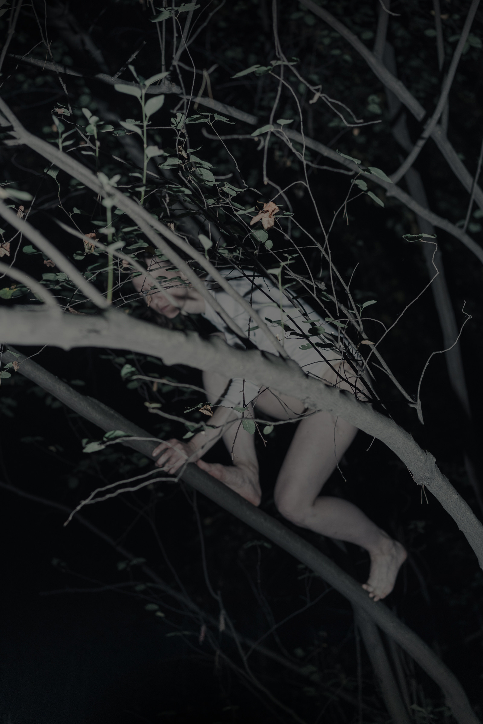 Nocturnal Animals. Mixed-media artist