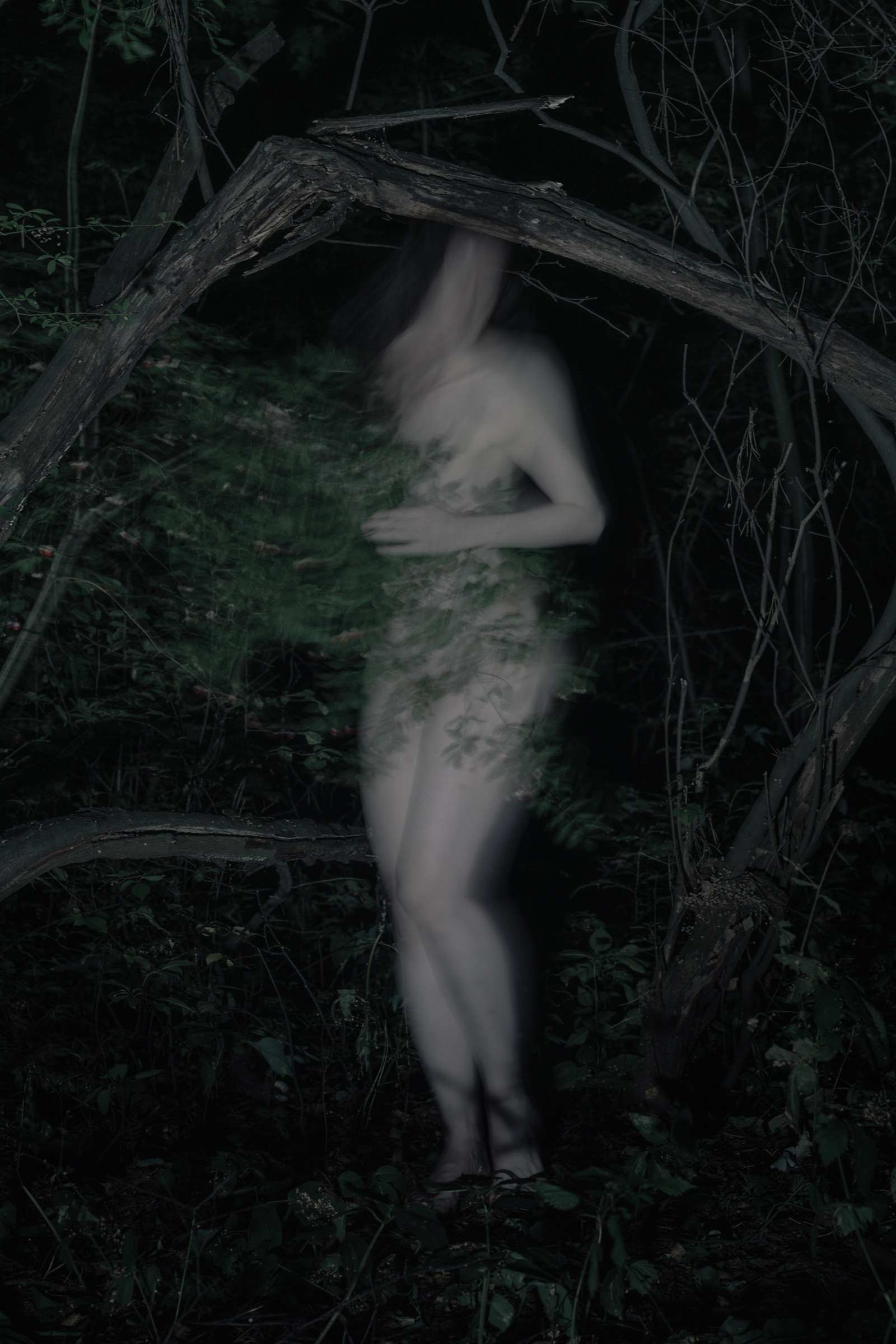 Nocturnal Animals. Mixed-media artist