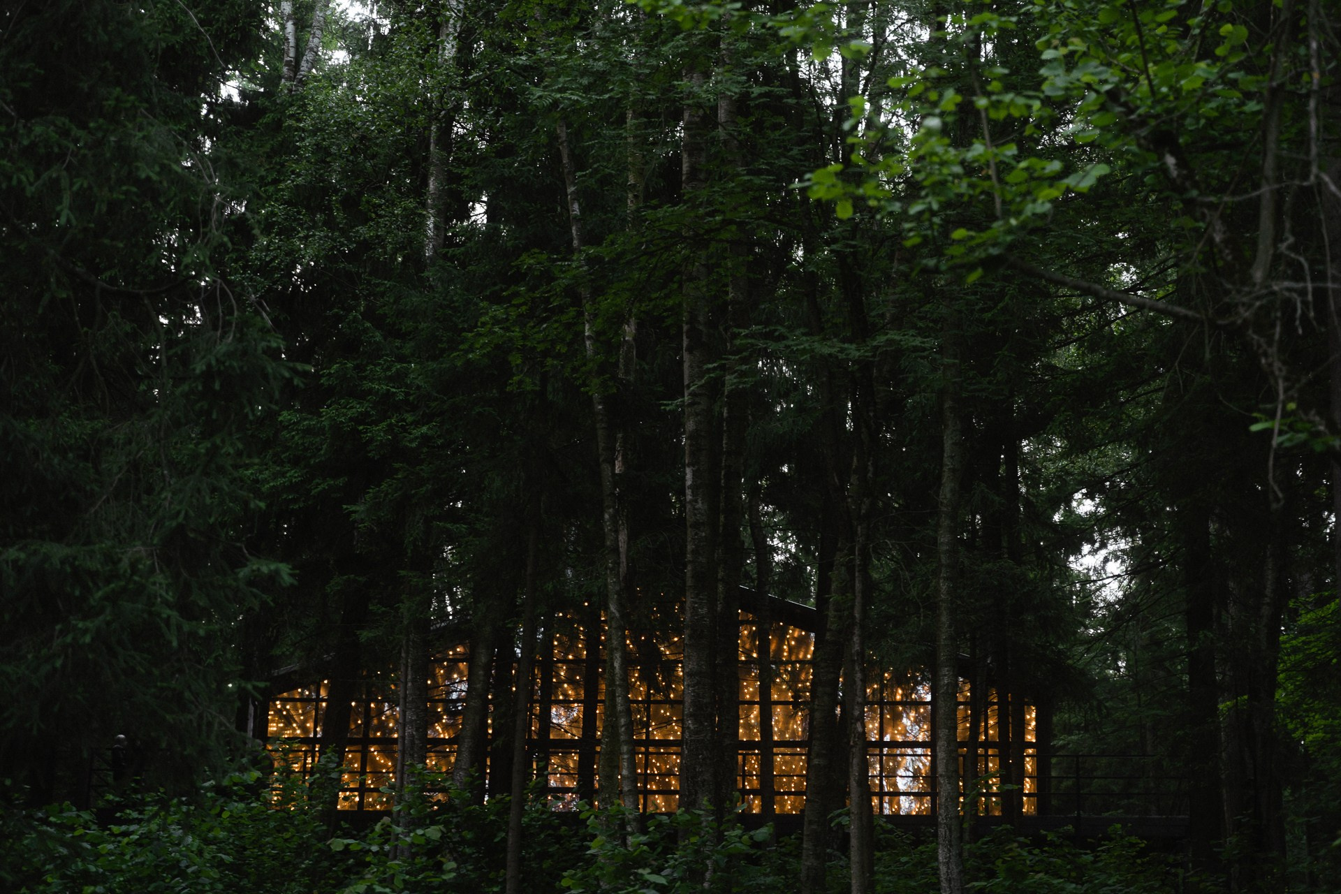Сергей и Дарья. Свадебный фотограф в Белгороде Антон Каменев