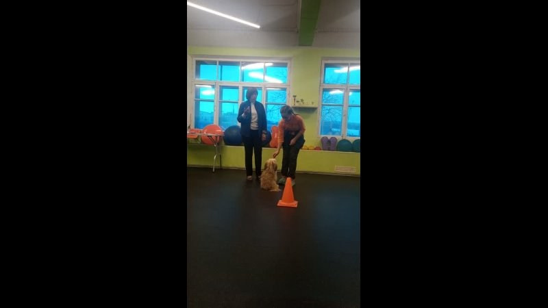 День Открытых Дверей по 🔥ТАНЦАМ с СОБАКАМИ. НРОО КЦ "Собаковод"