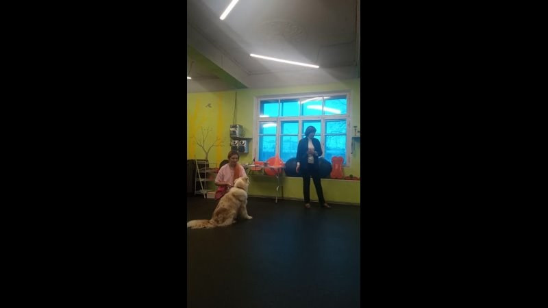 День Открытых Дверей по 🔥ТАНЦАМ с СОБАКАМИ. НРОО КЦ "Собаковод"