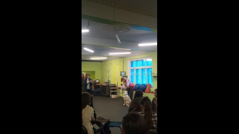 День Открытых Дверей по 🔥ТАНЦАМ с СОБАКАМИ. НРОО КЦ "Собаковод"