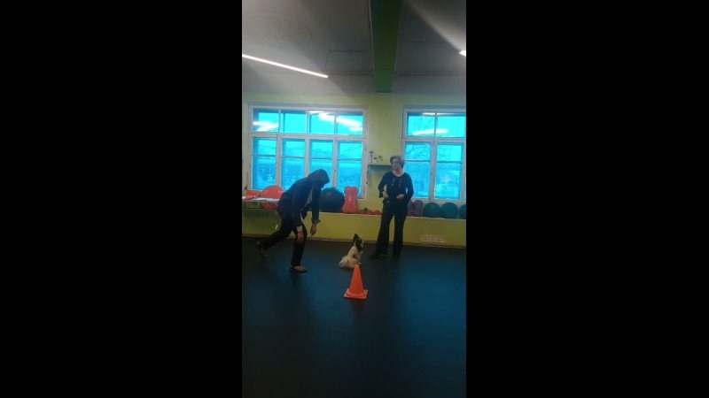 День Открытых Дверей по 🔥ТАНЦАМ с СОБАКАМИ. НРОО КЦ "Собаковод"