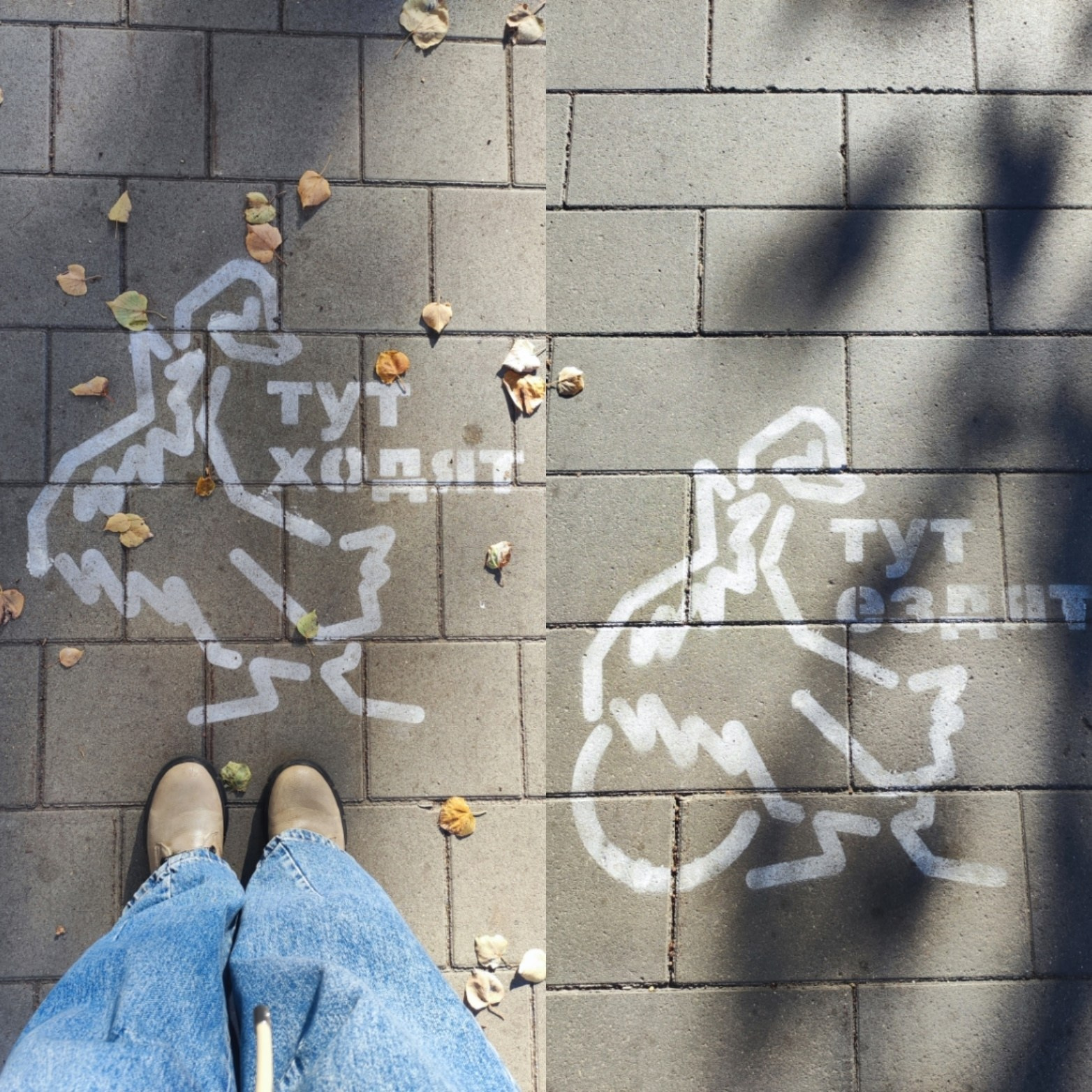 Царство гусиное. С любовью о Нижнем: экскурсии для вас