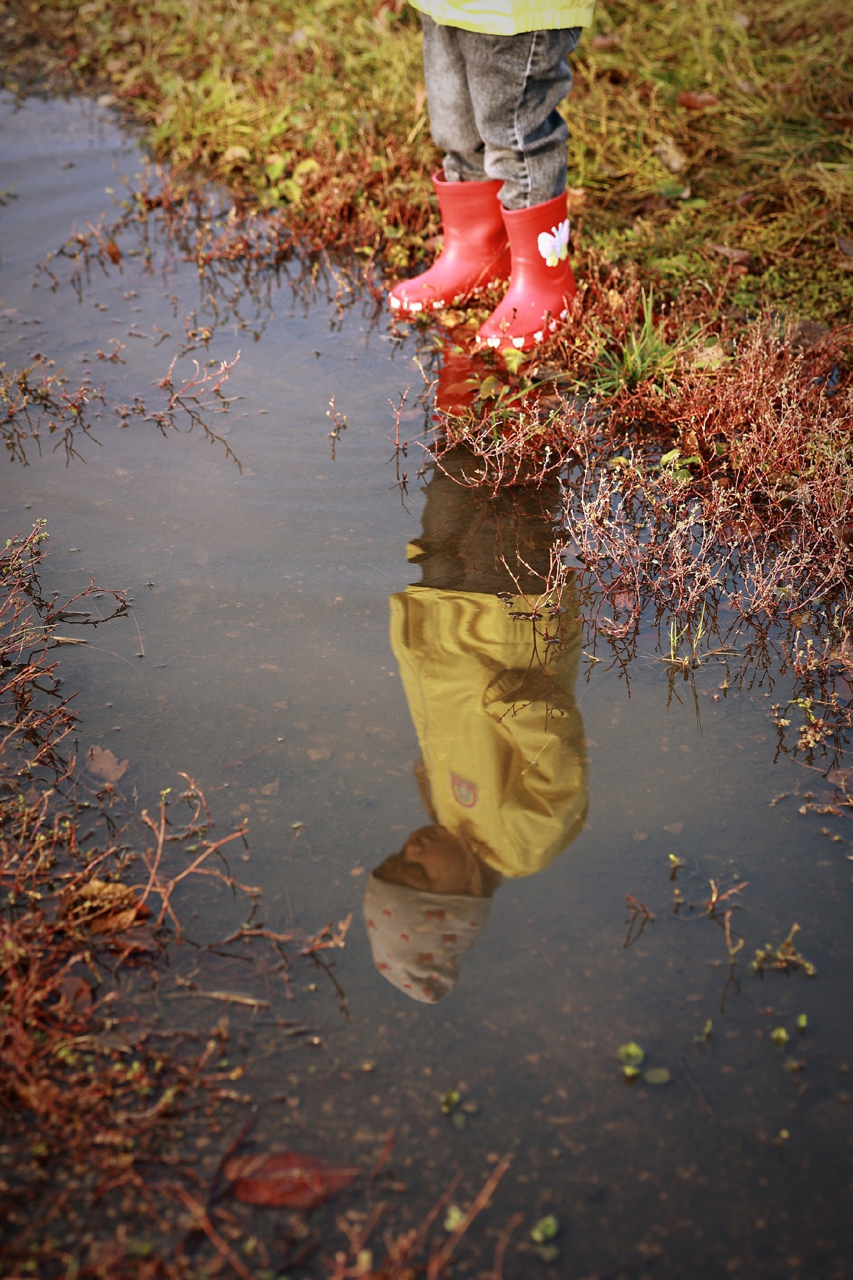 Фотолаборатория Ваниль