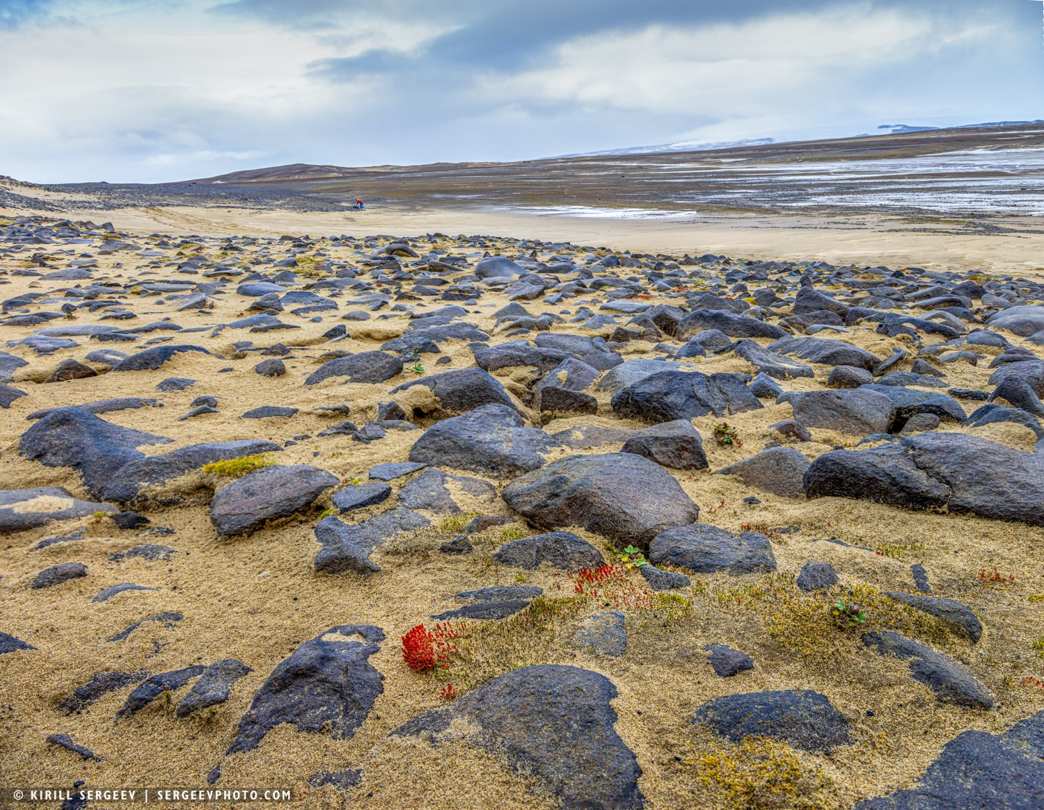 Арктическая одиссея. Фотограф Кирилл Сергеев | Москва