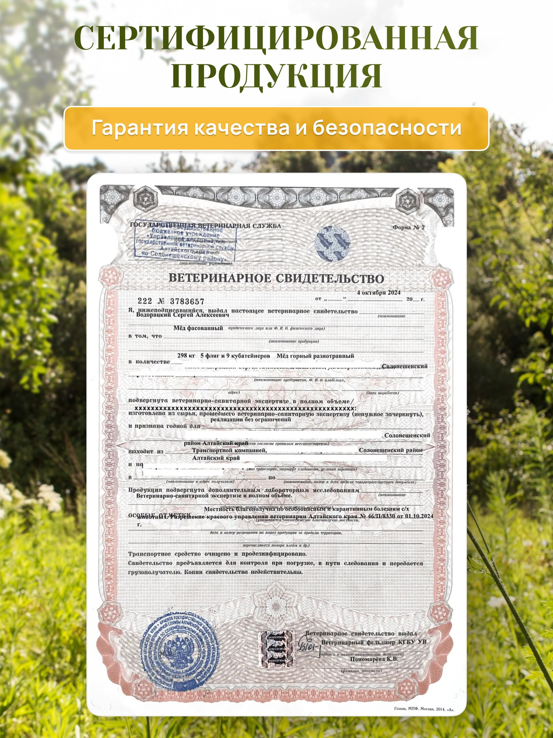 Инфографика для маркетплейсов: алтайский мёд. Маркетолог в Москве, специалист по коммуникациям и рекламе Аня Смоляга