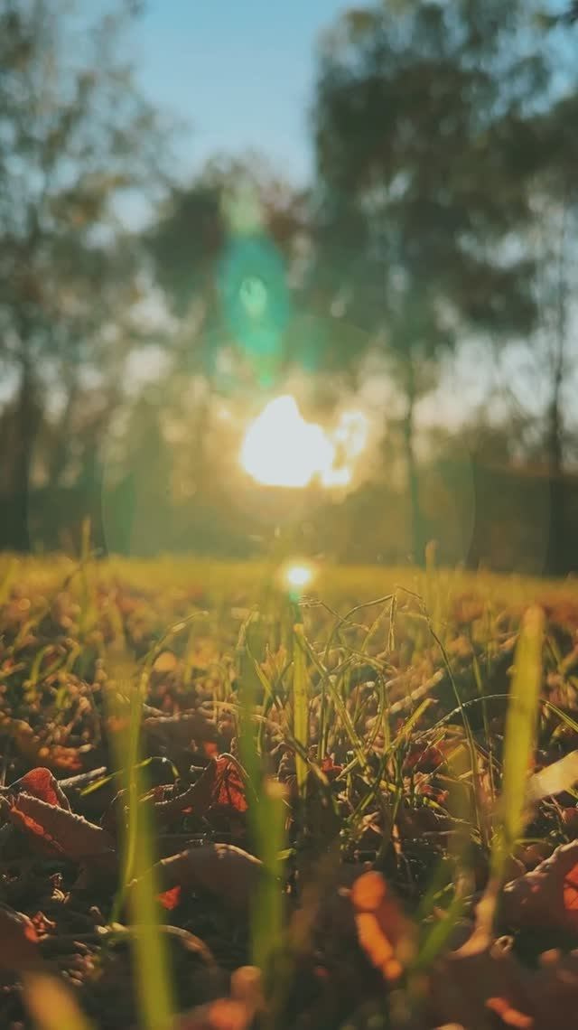 Reels. Видеограф, фотограф в Москве Мария Васильева