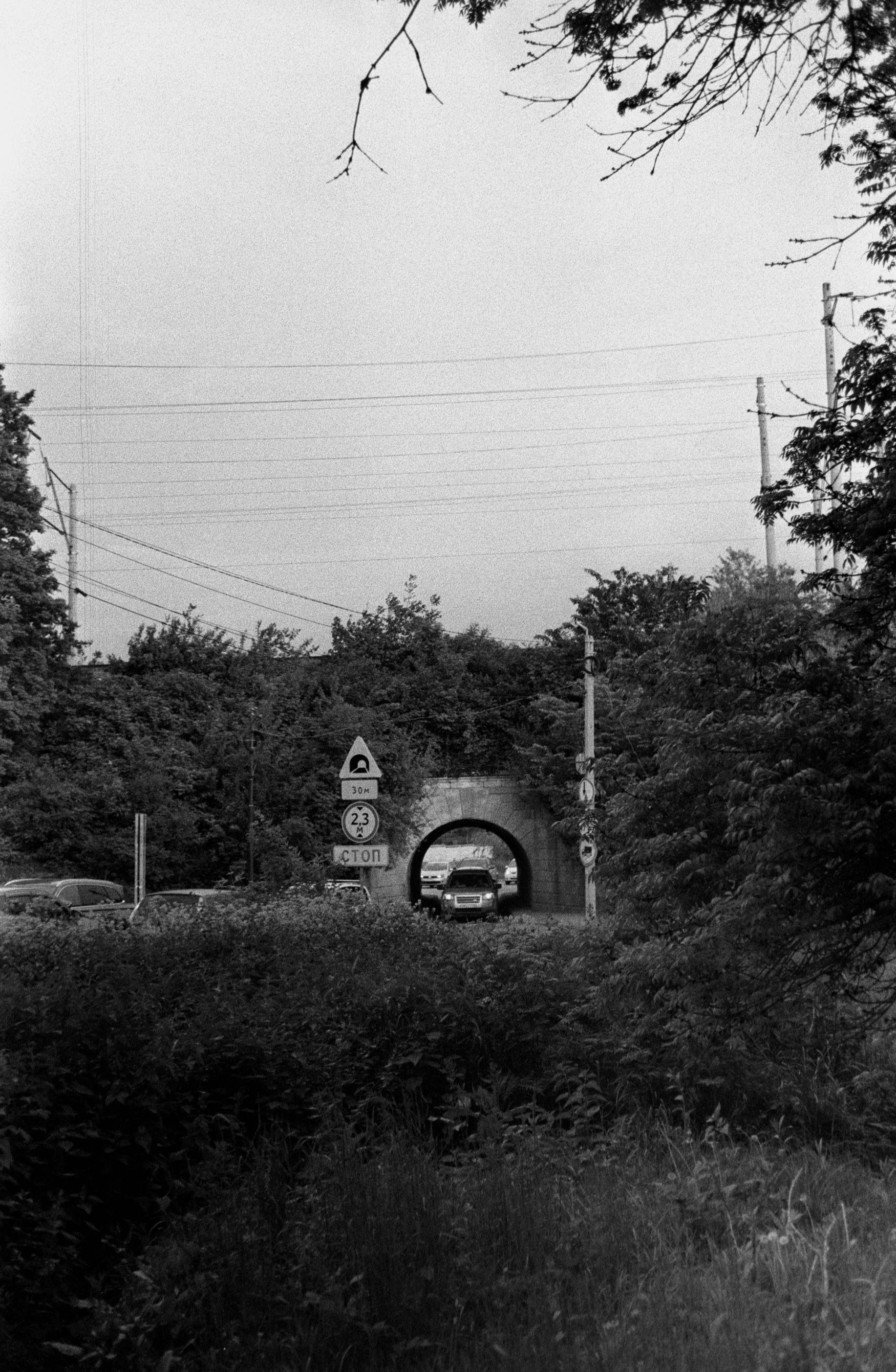 Что такое Тасма Т-25Л?. Пленочный фотограф на КМВ Мирнов Игорь