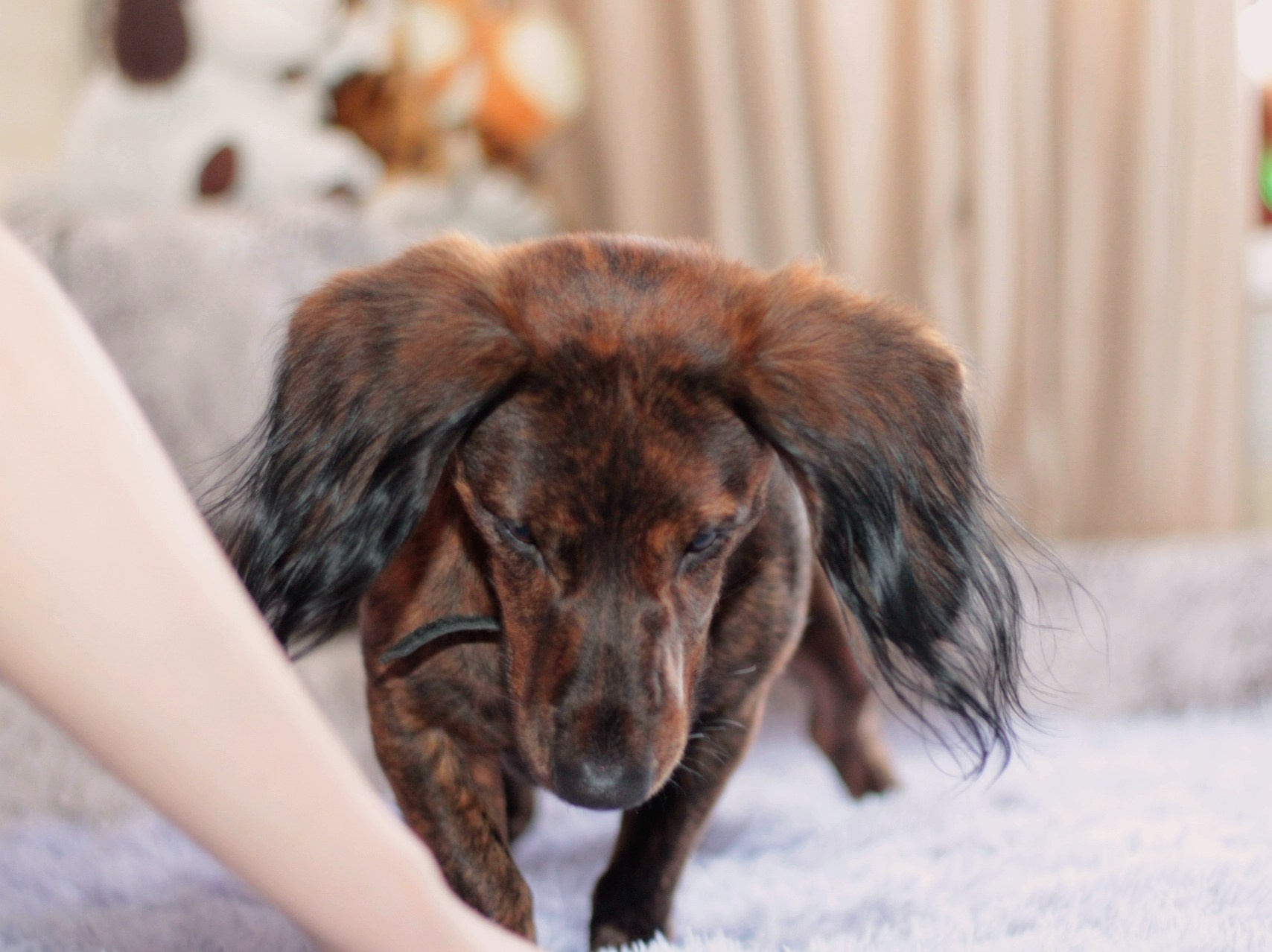 Катя Попова|ЛайфСтайл фотограф