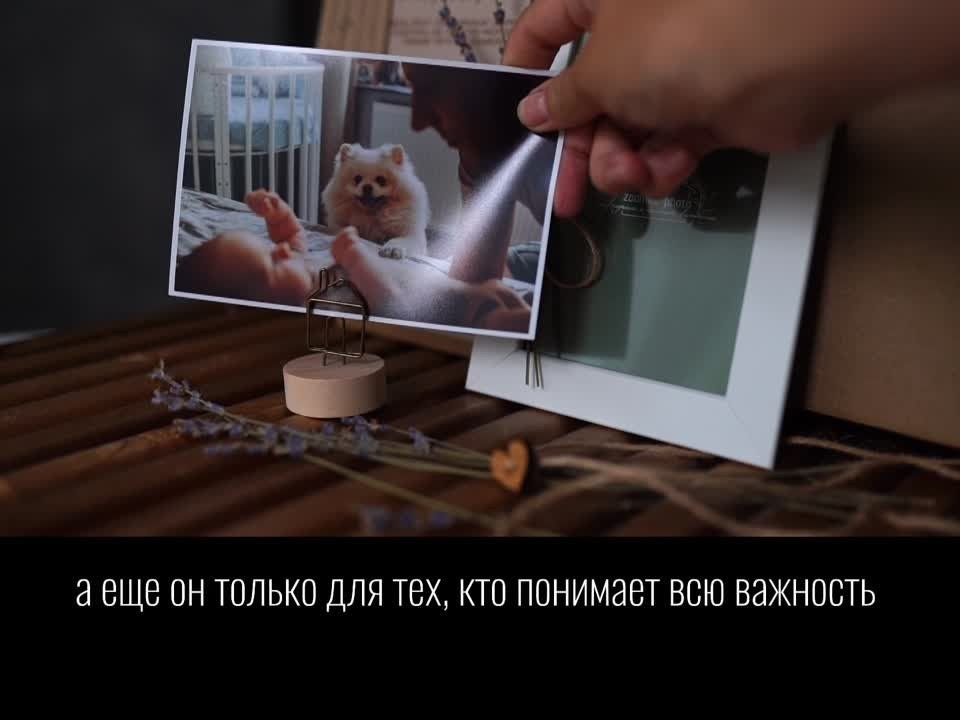 Подарочный сертификат. Детский и семейный фотограф — Калининград — Юля Насифуллина