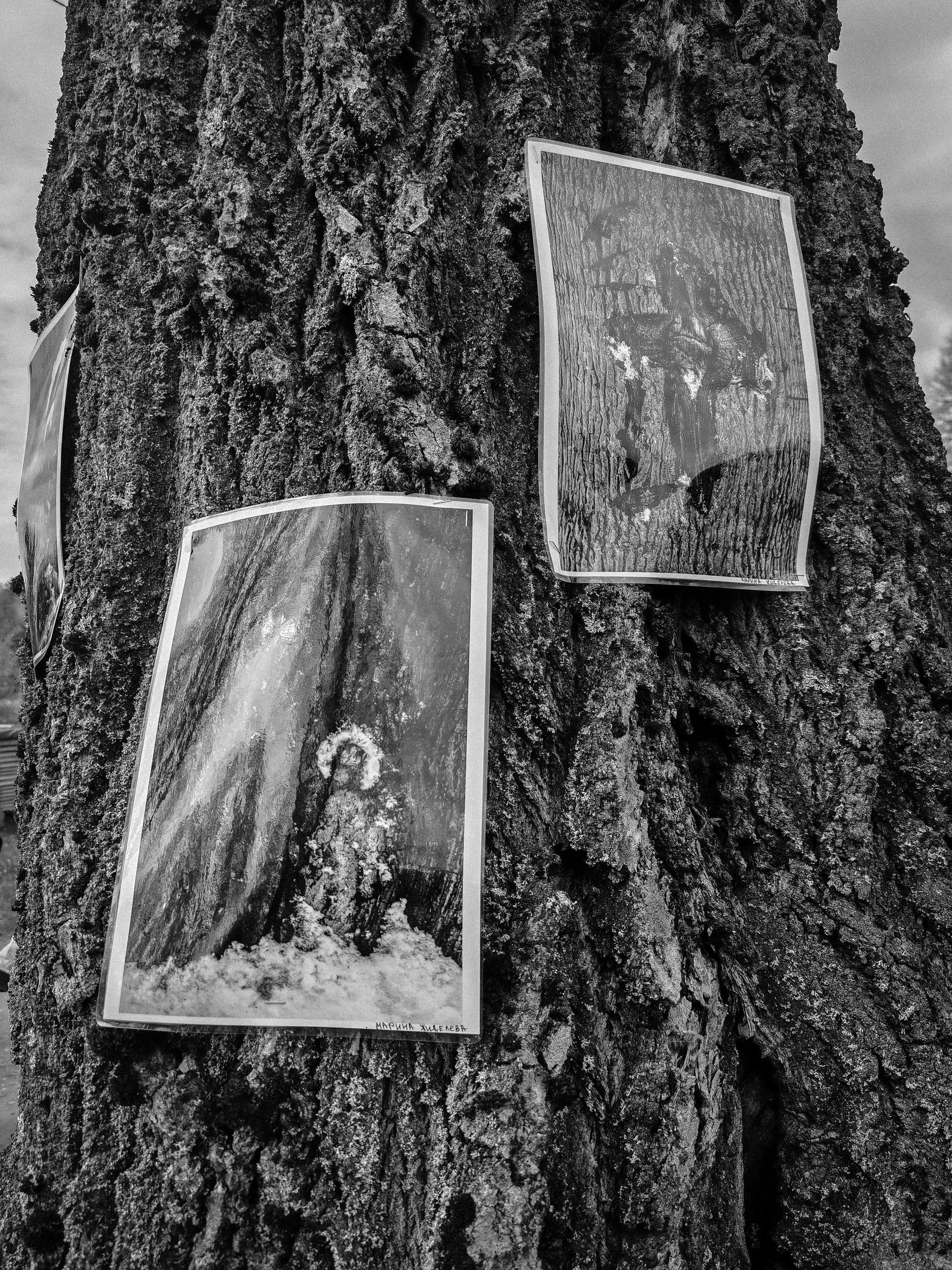 Открытие выставки «Русское осознанное». Фотохудожник Марина Жиделева