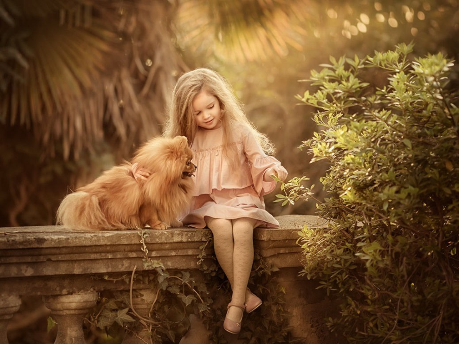 3D effect. Photographer Elena Michelle