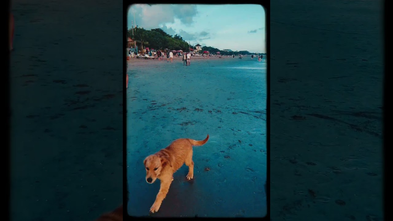 Filming life. POLINA MÔMOT