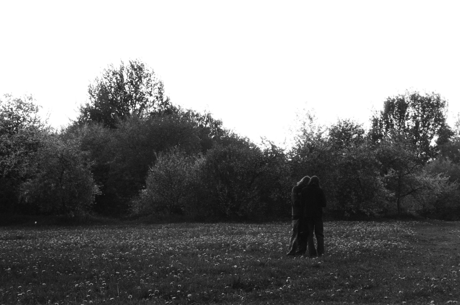 Let there be light. Maria Barakova