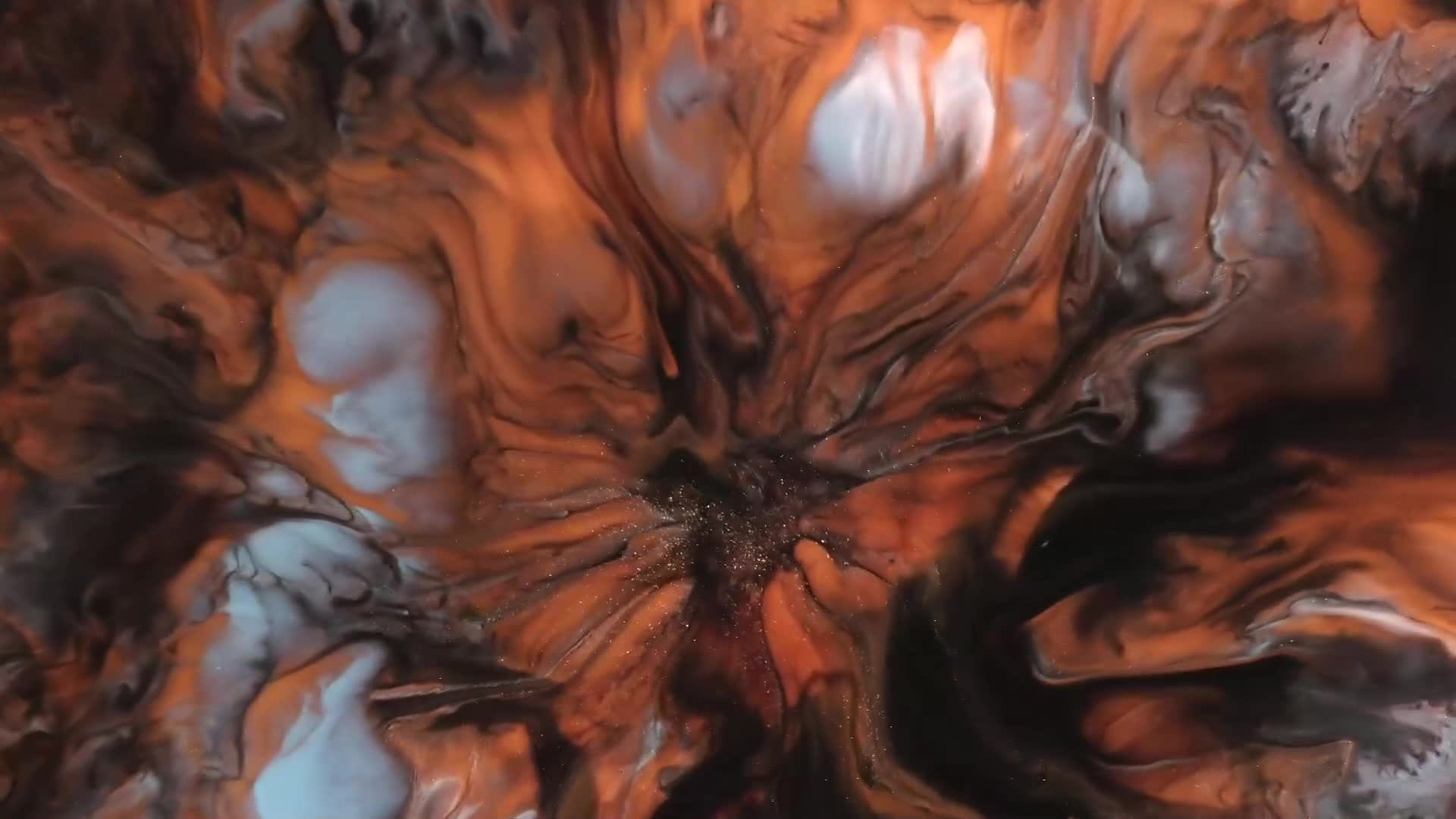 Macro films of Vadim Sherbakov. Short films by Vadim Sherbakov