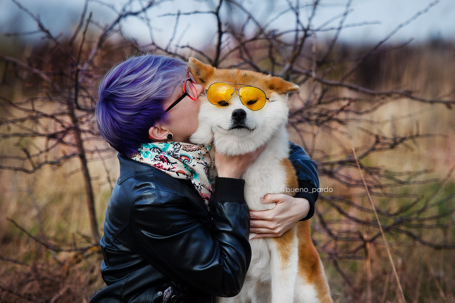 Щенки японской акита ину из питомника. Питомник собак Акита, Хаски, Корги