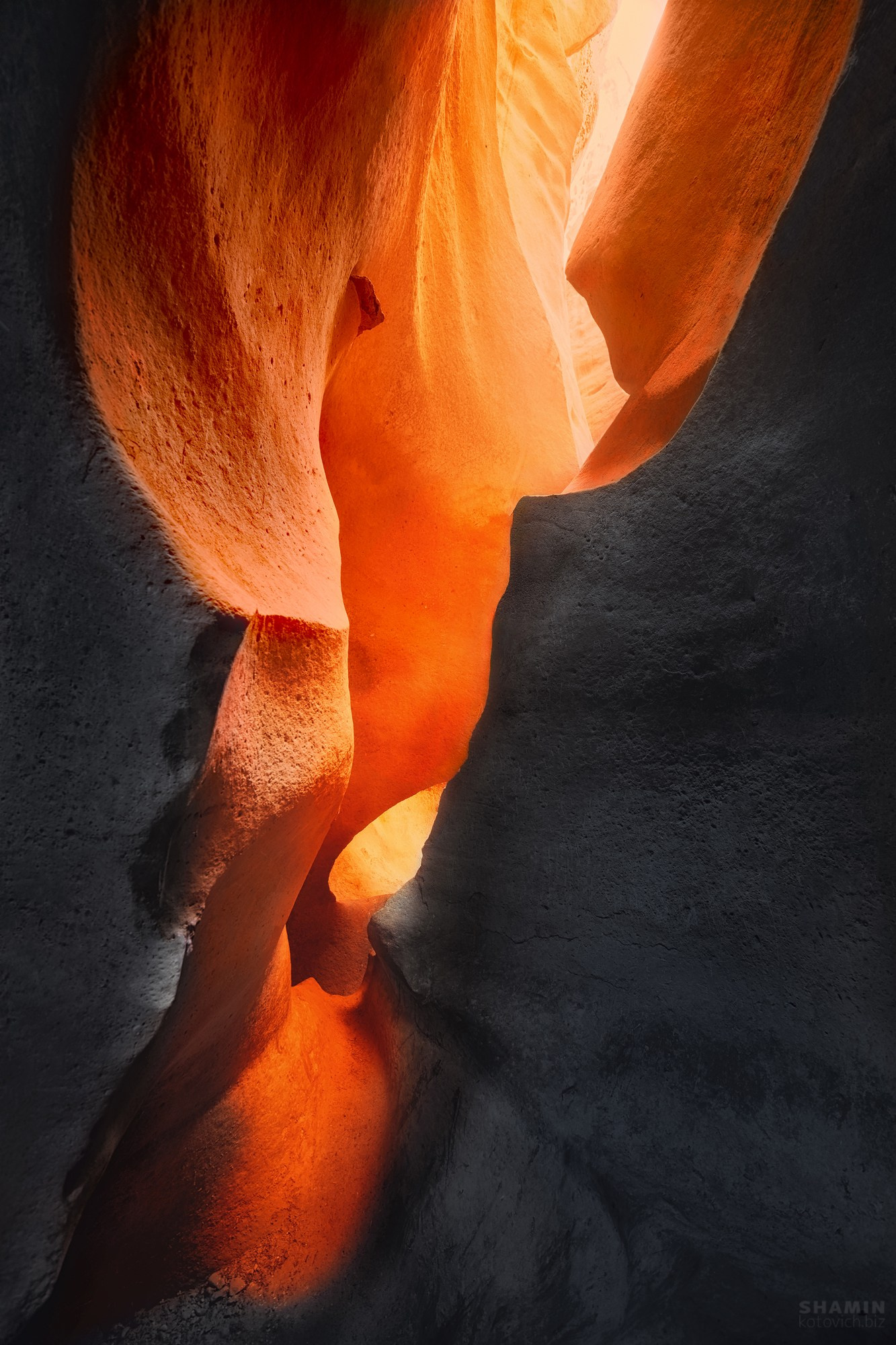 Проект 365. Фотограф Константин Шамин