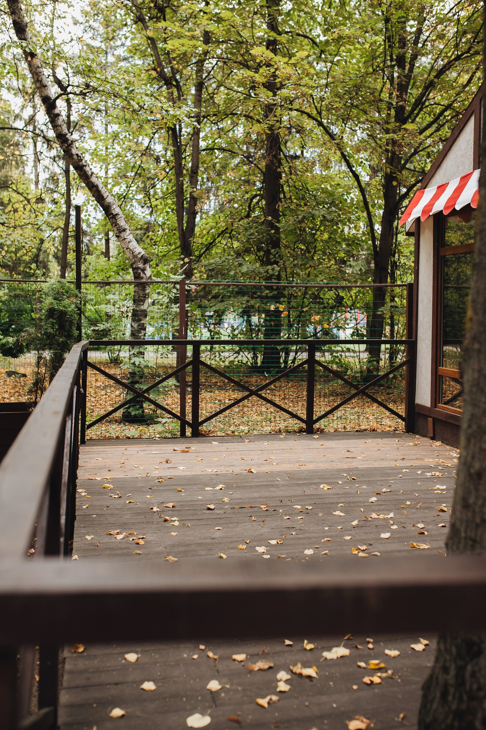 Фотостудии г.Липецк. Фотограф Екатерина Лёвушкина