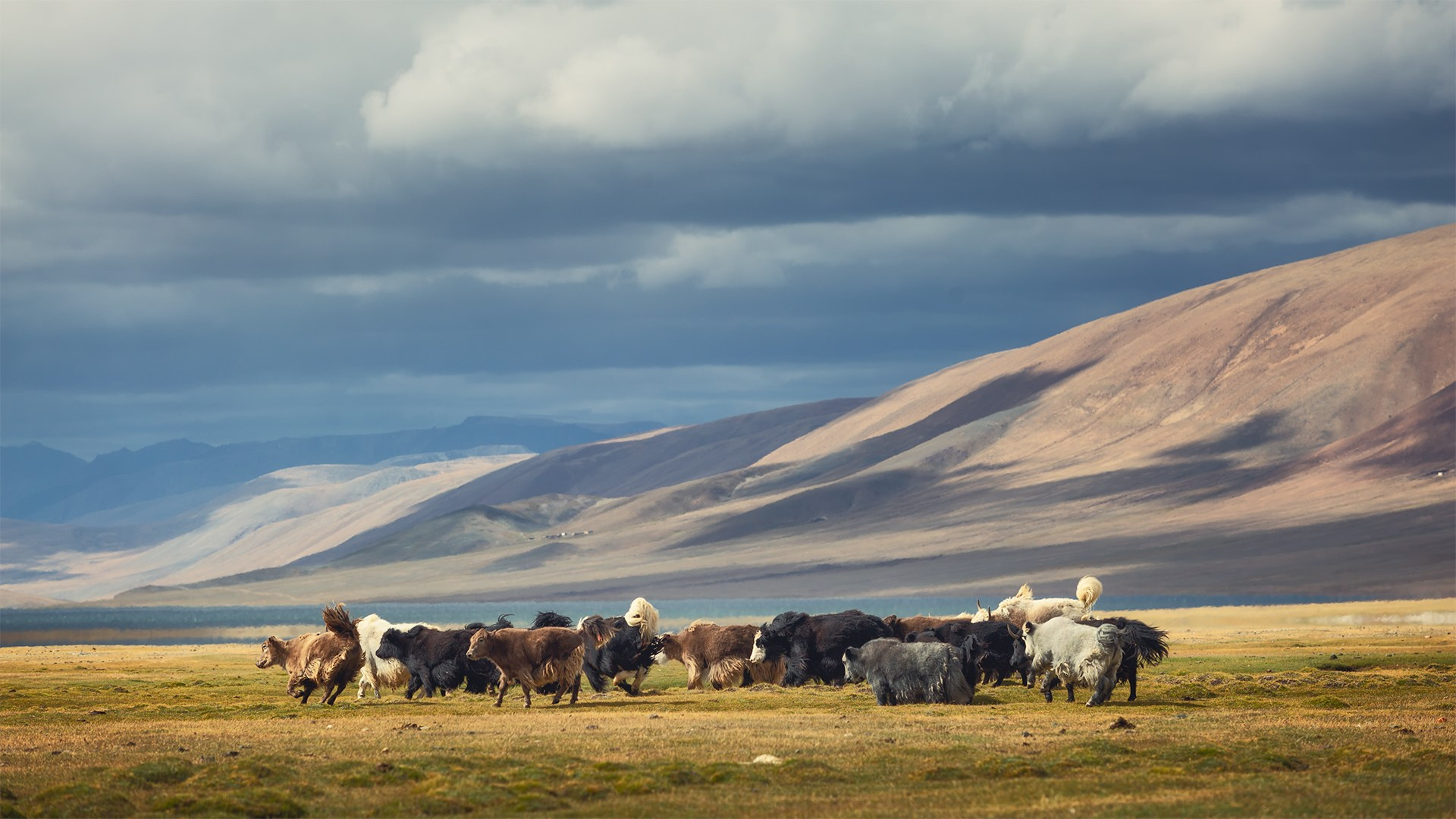 Пейзаж. Вадим Кононенко — outdoor creating