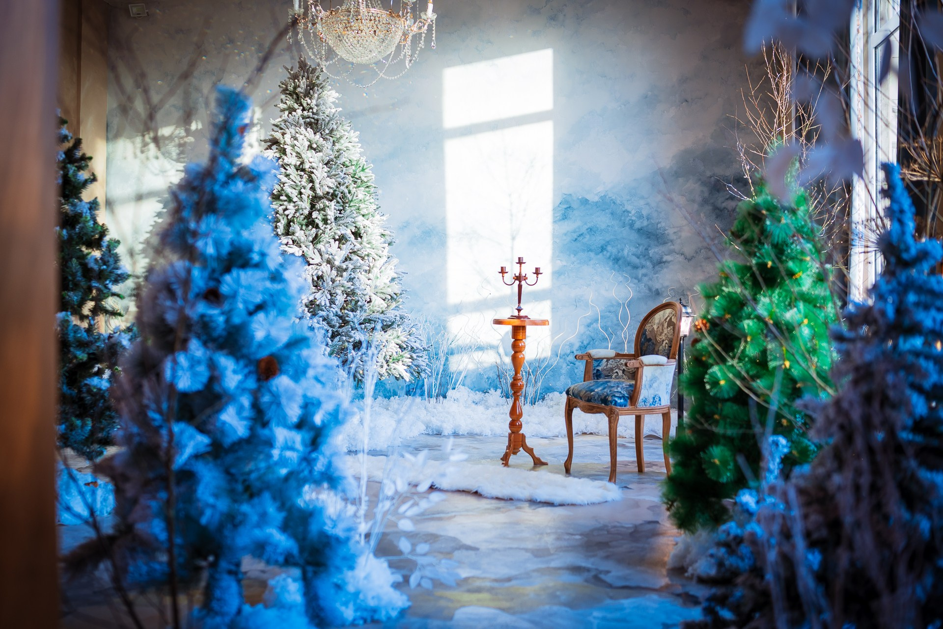 Фотостудия интерьерная в Туле — Давинчи |Davinci