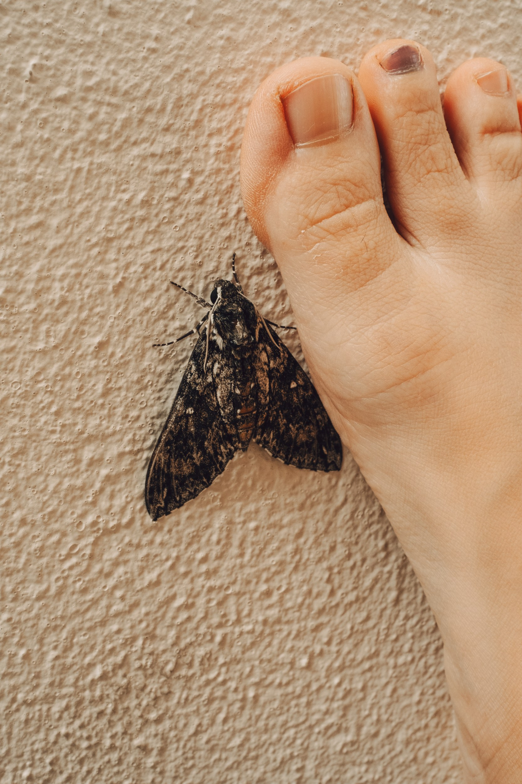 Mi Hija Mexicana. Margarita Rodionova — a contemporary lens-based artist currently working in Cancun, Mexico