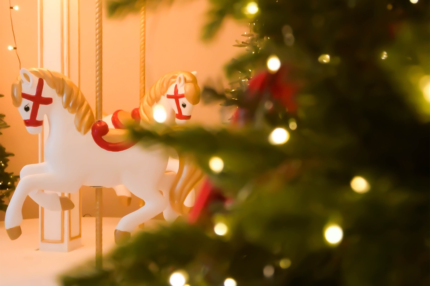 Фотостудия Blenda. Понравилась студия? Напишите — организую съёмку именно здесь. Фотограф в Минске Людмила Дутко