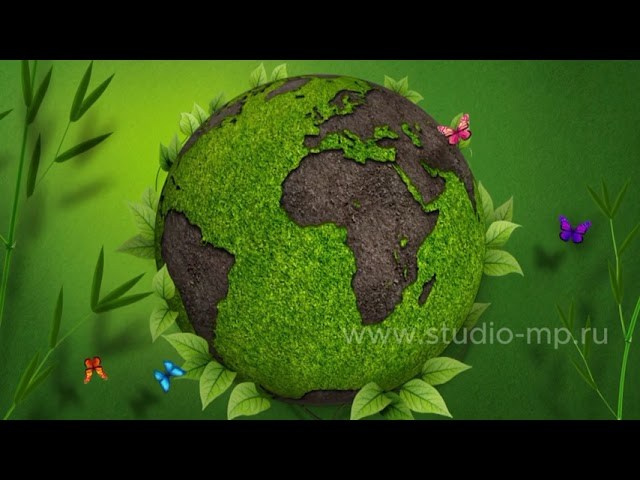 Архив. Фото и видео Москва, Московский. Свадебный фотограф, видеограф, фотосессии, видеосъемка