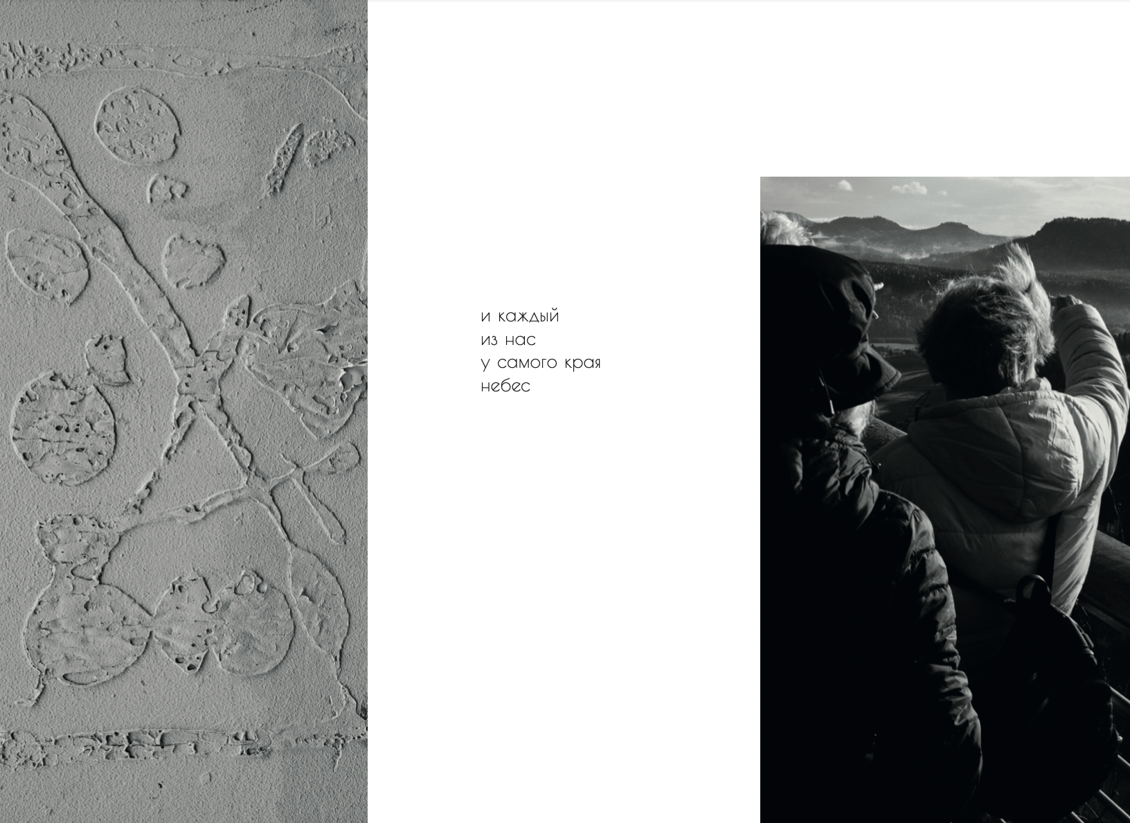 Курс Олега Колимбета: Сторителлинг и создание визуальных нарративов. Самоорганизация Низина