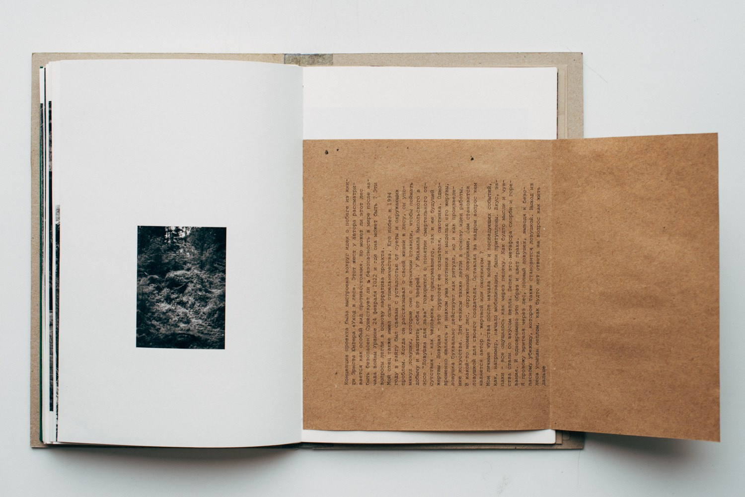 About forest, traps and sorrow. Main