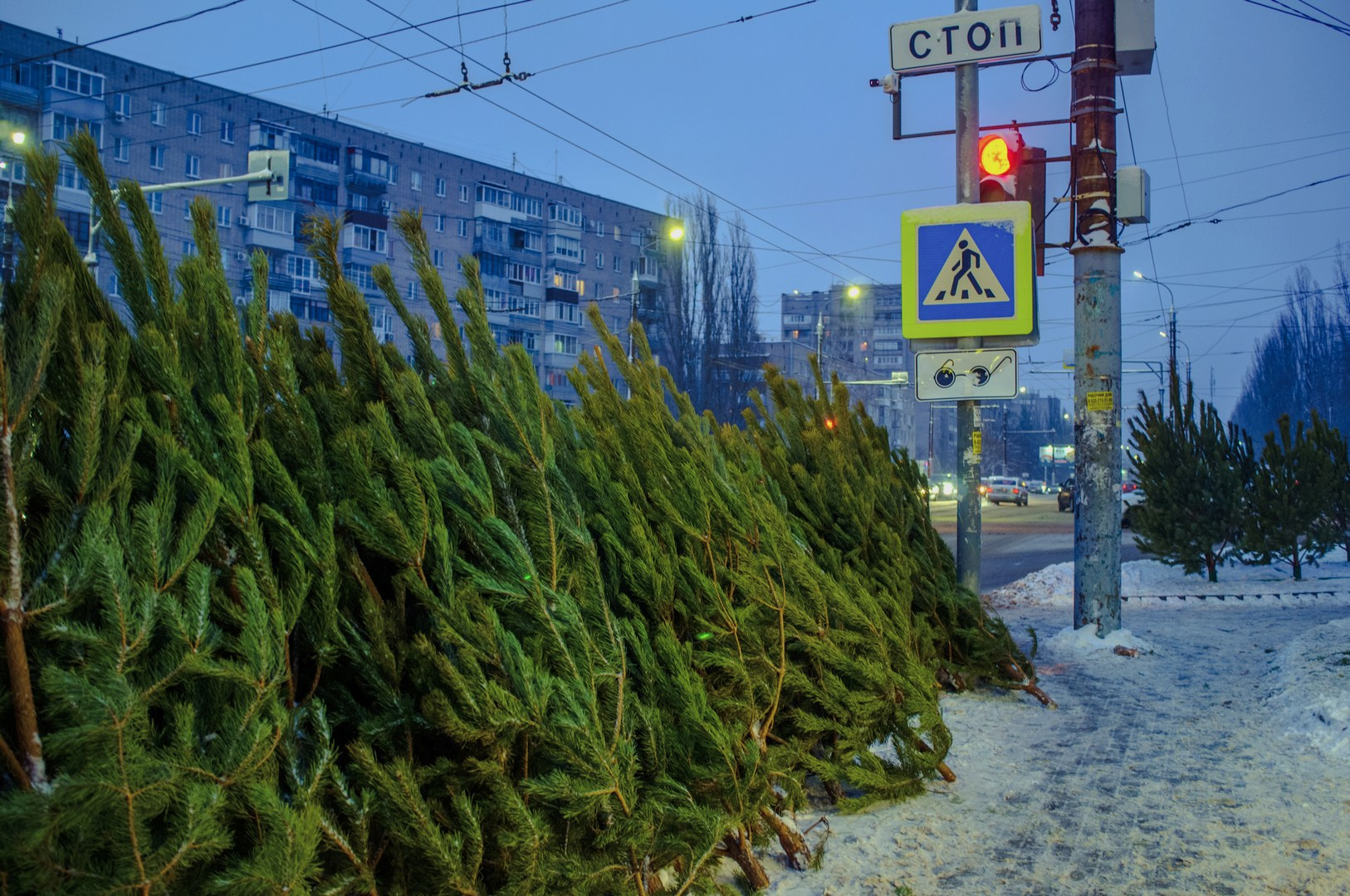 Зима уходящая. Руслан Шувалов (поэтограф)