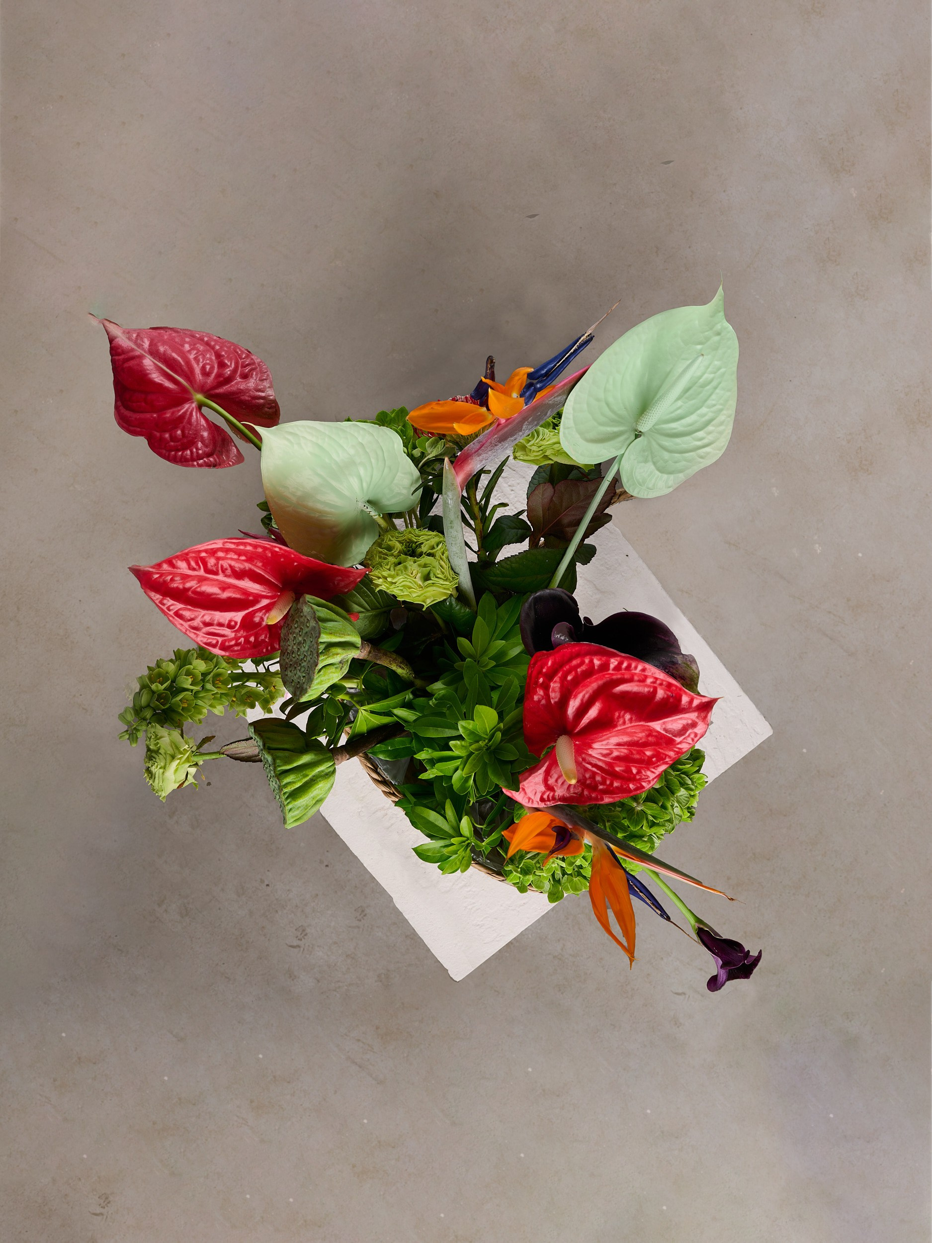 Предметная фотосъёмка цветов и букетов — портфолио. Предметный фотограф в Москве