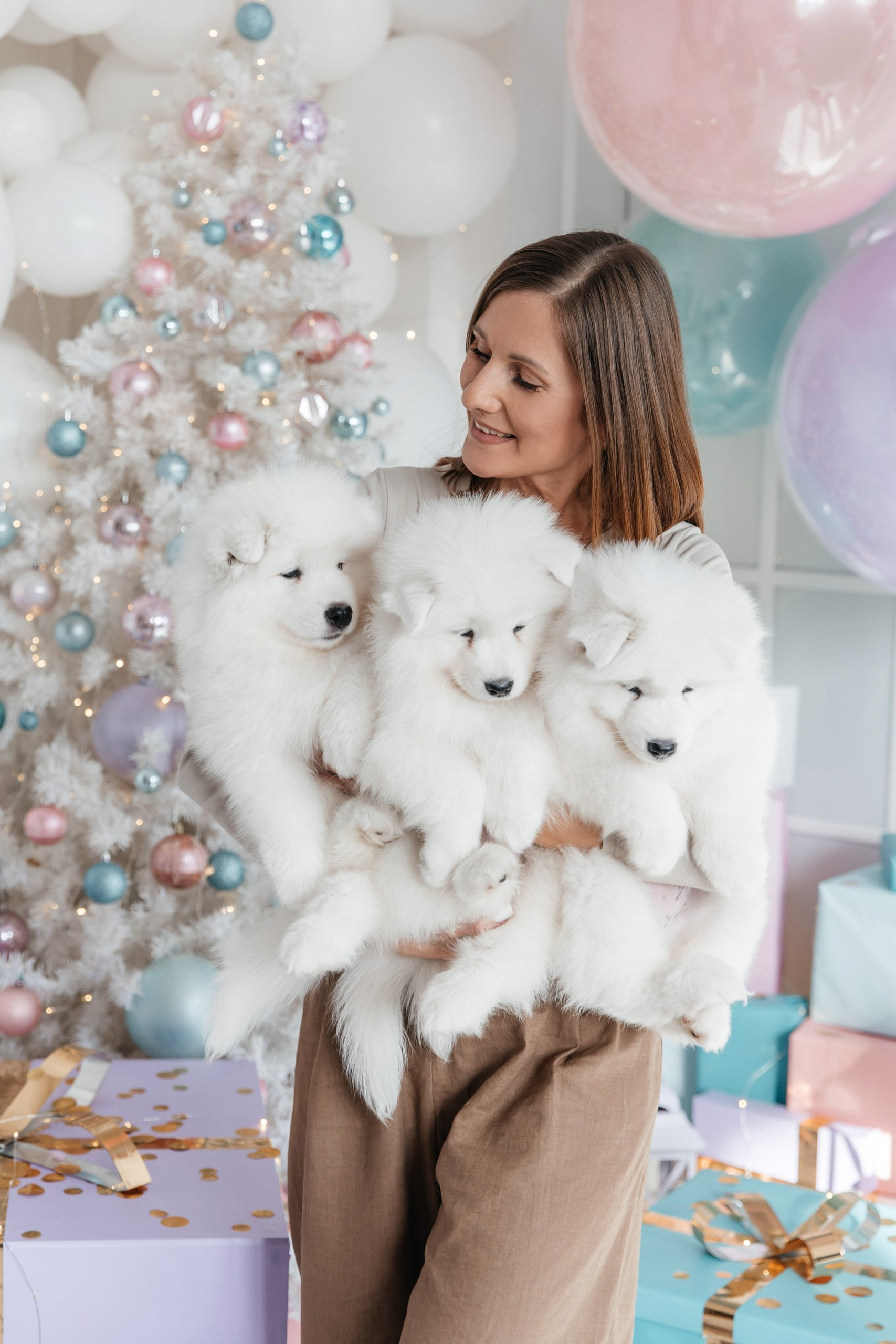 Помет «Г» 02.09.2025. Самоед Новосибирск