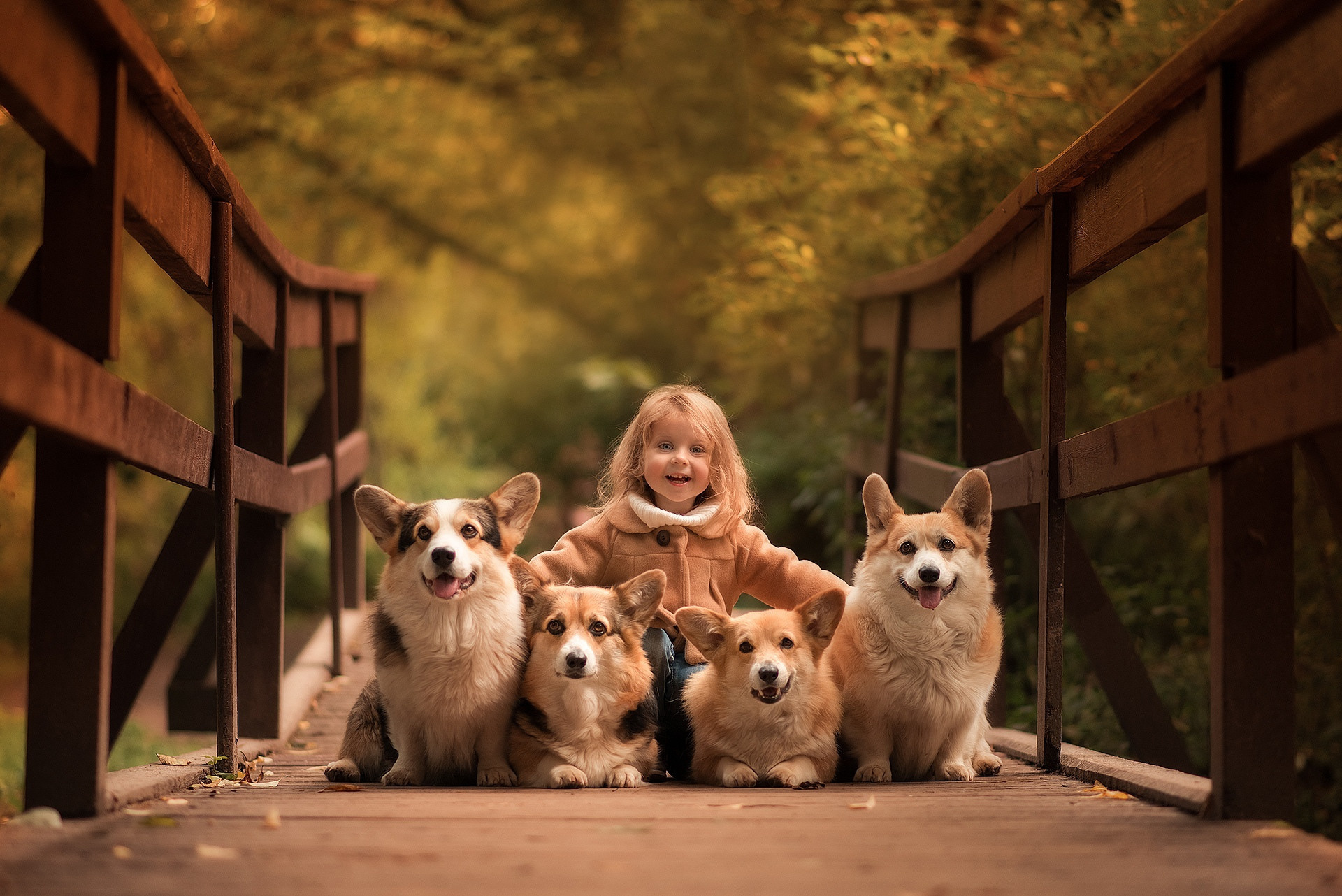 Курсы фотошопа с нуля онлайн. Фотошкола Елены Светловой (Санкт-Петербург)