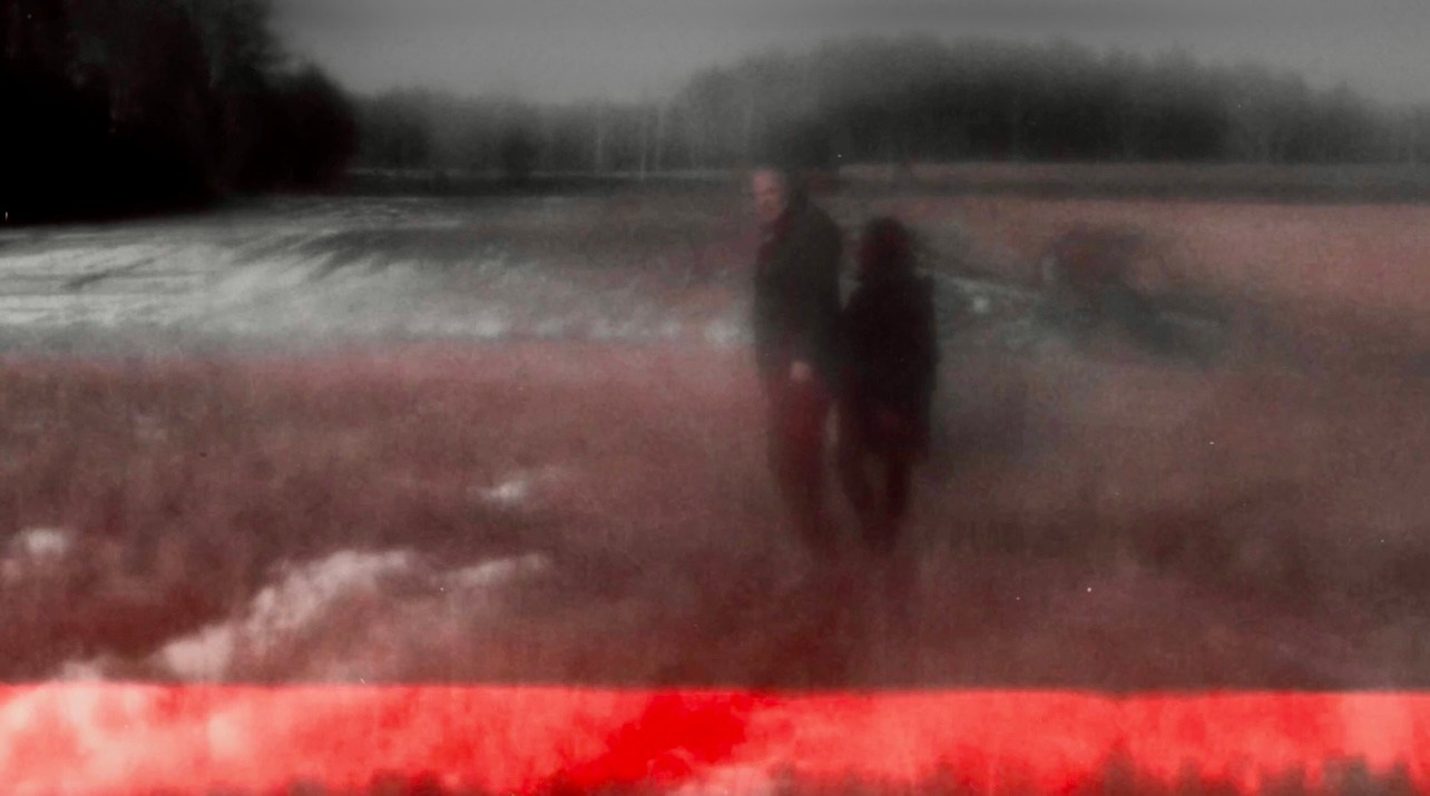 ARTIST’S STATEMENT & CV. Evgeniia Mikheeva — International visual artist