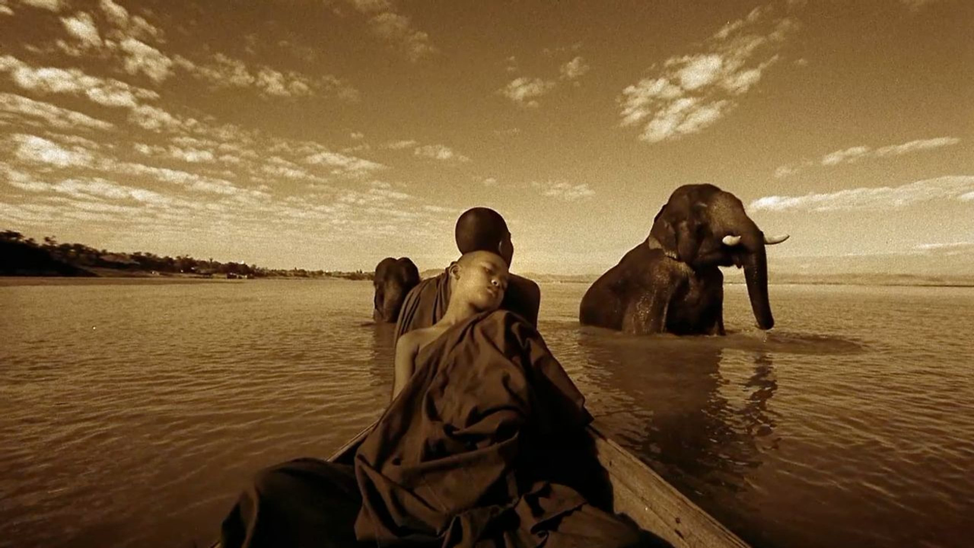 4 ХУДОЖЕСТВЕННЫХ И ДОКУМЕНТАЛЬНЫХ ФИЛЬМОВ ДЛЯ ФОТОГРАФА. Обучающий блог фотографа Jay Lay | Фотограф Казань