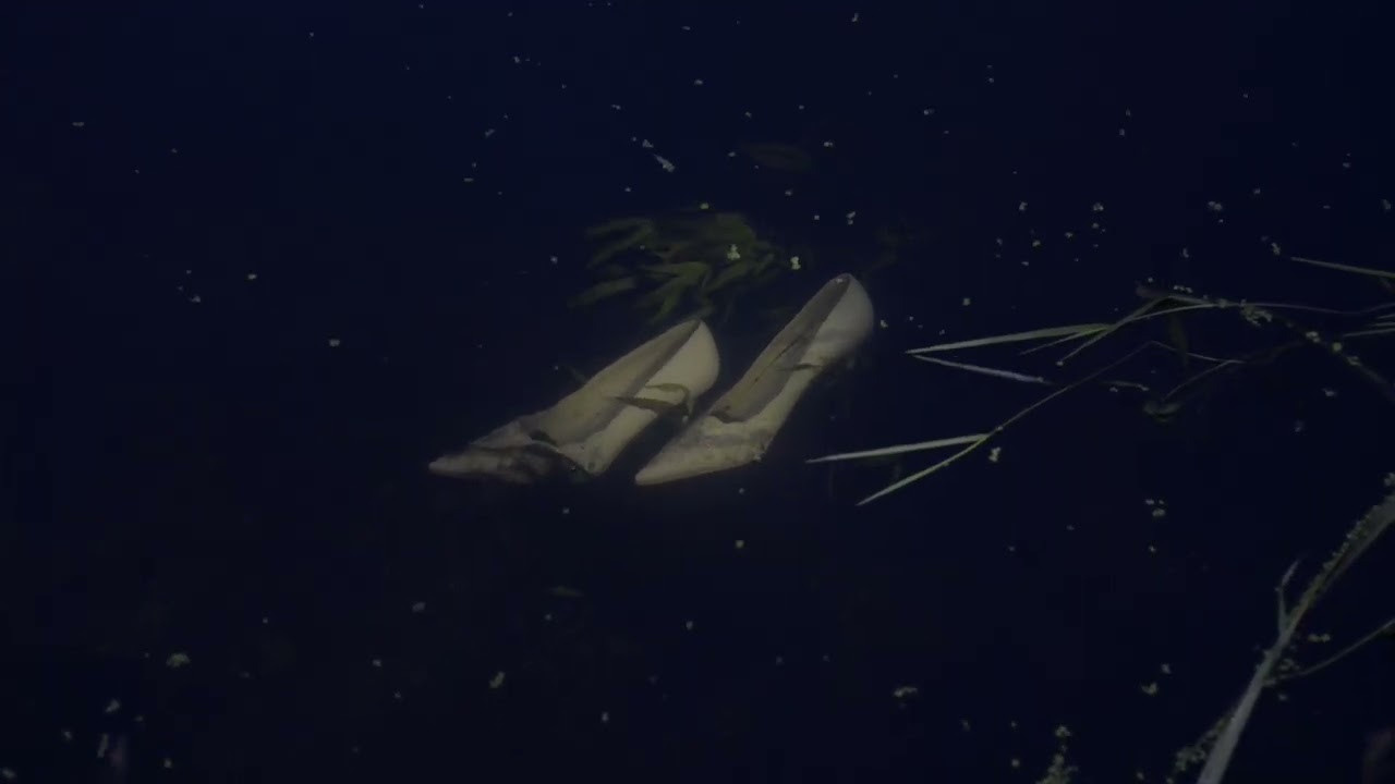 Фотографический музей «Дом Метенкова», г. Екатеринбург, 2022 г. Plechinta Ekaterina — documentary photographer