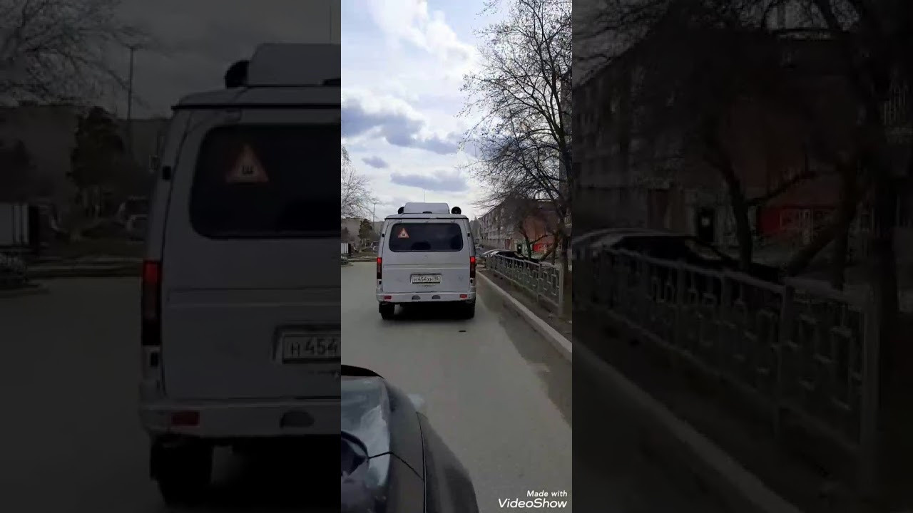 Мой монохромный друг. Plechinta Ekaterina — documentary photographer