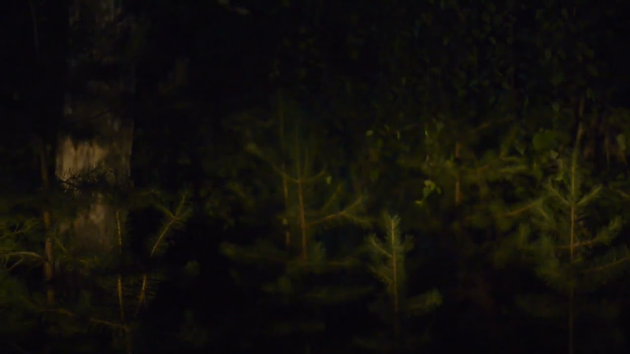 Фотографический музей «Дом Метенкова», г. Екатеринбург, 2022 г. Plechinta Ekaterina — documentary photographer