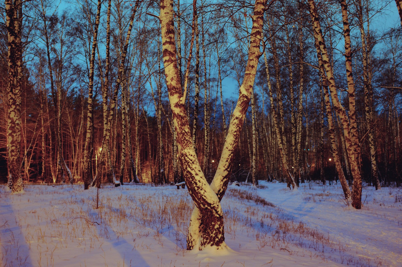 Руслан Шувалов (поэтограф)