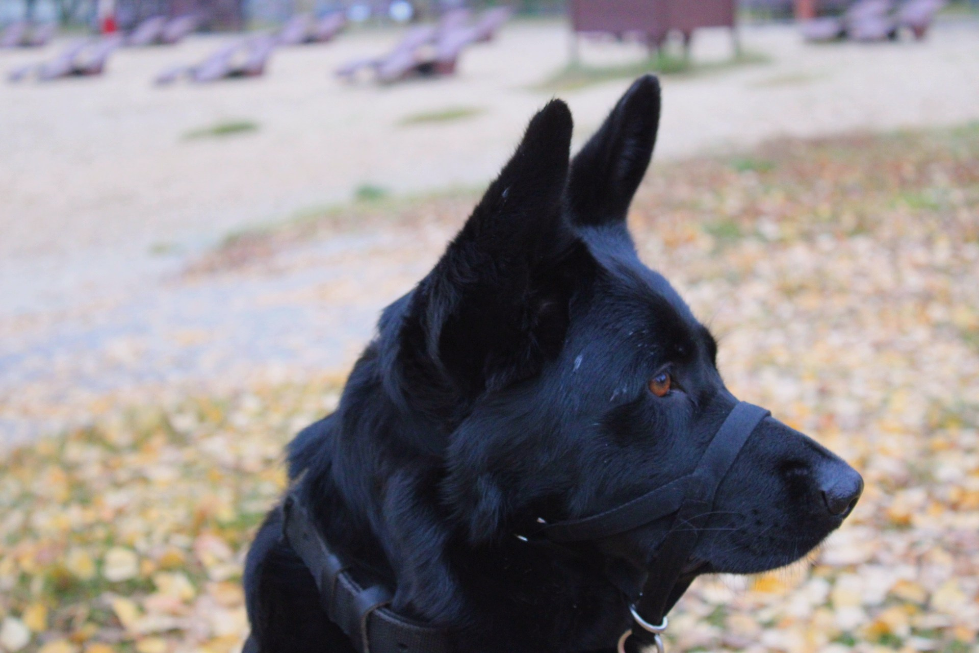 Катя Попова|ЛайфСтайл фотограф