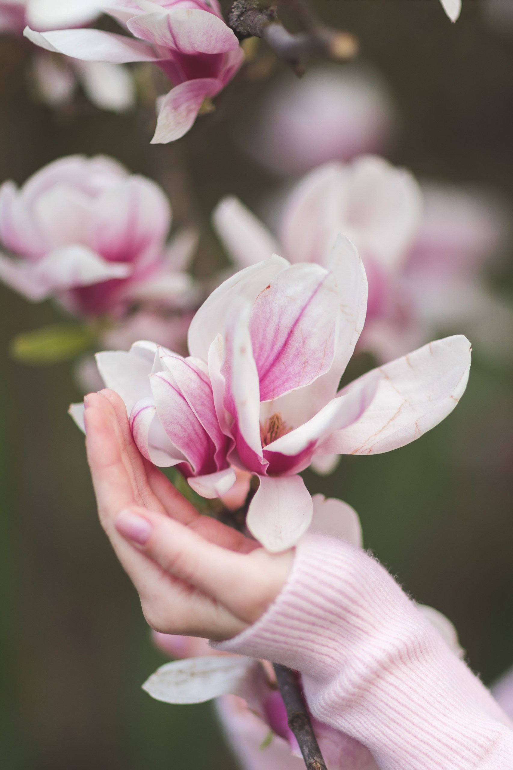 Фотосессия случайной прохожей в магнолии. Семейный и детский фотограф Краснодар Валерия Власенко