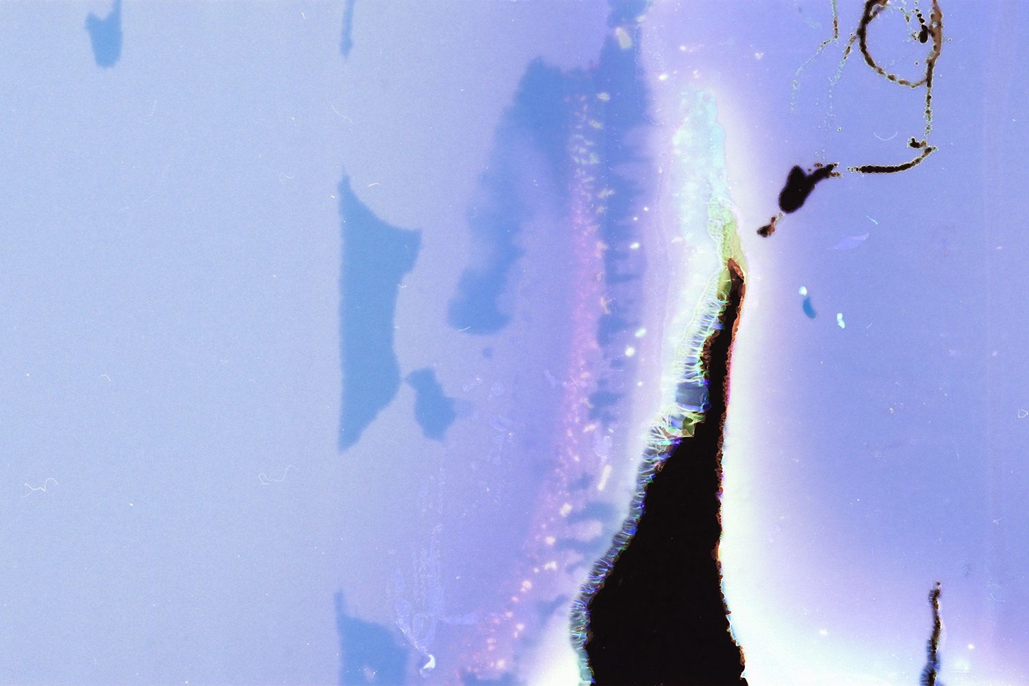 Выставка ''There are no miracles to come'' с 11 января по 11 февраля 2