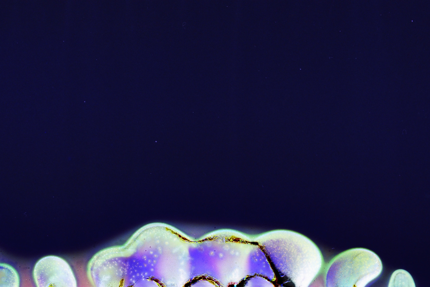 Выставка ''There are no miracles to come'' с 11 января по 11 февраля 2