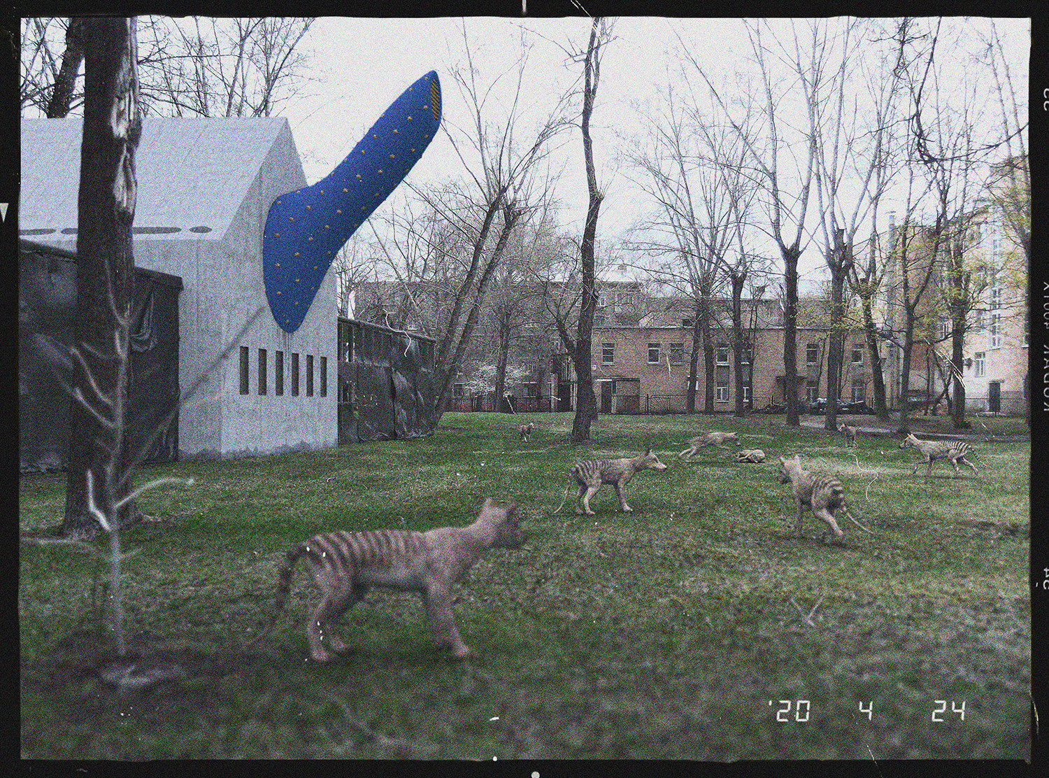 Выставка ''There are no miracles to come'' с 11 января по 11 февраля 2