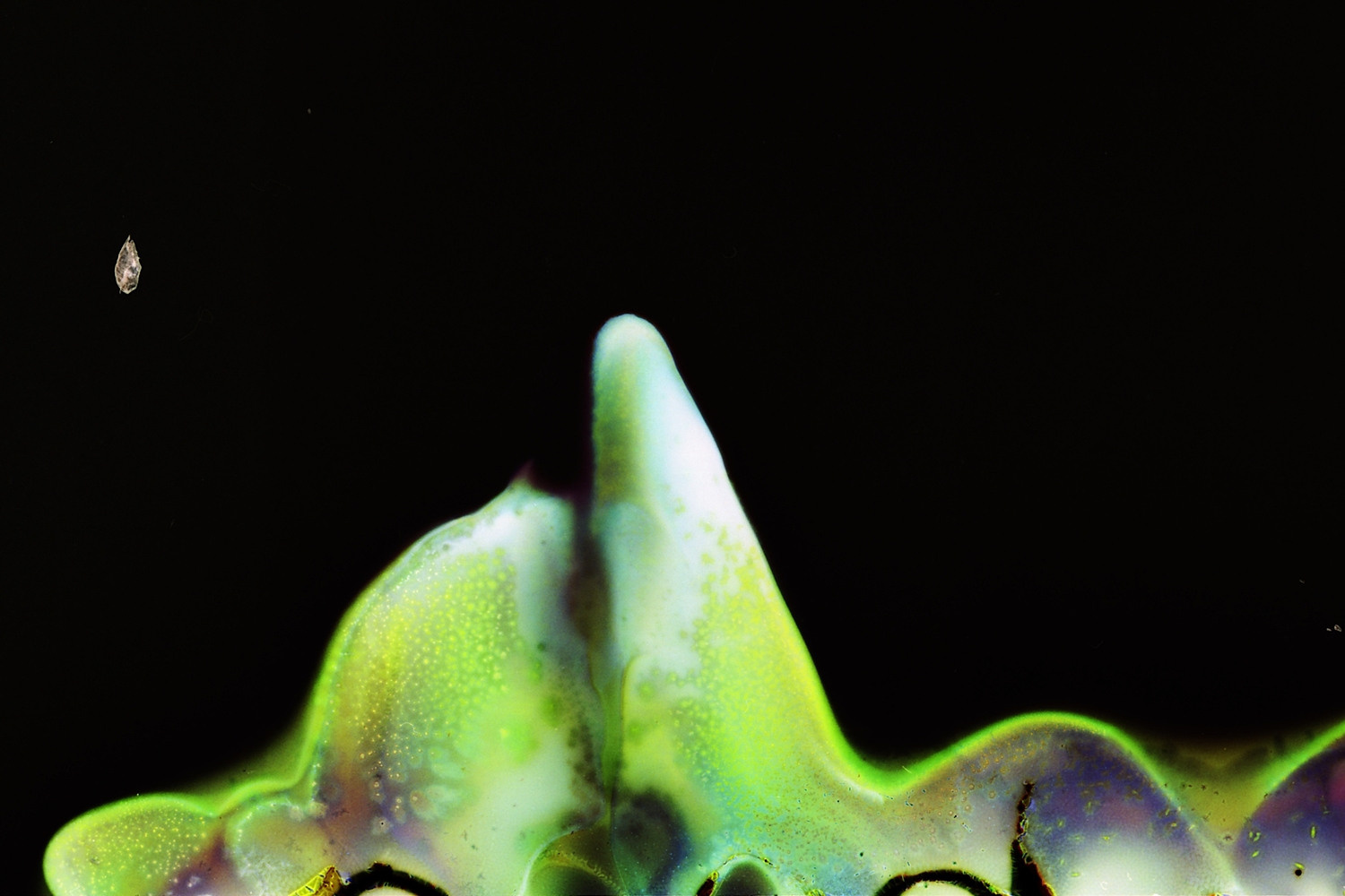 Выставка ''There are no miracles to come'' с 11 января по 11 февраля 2