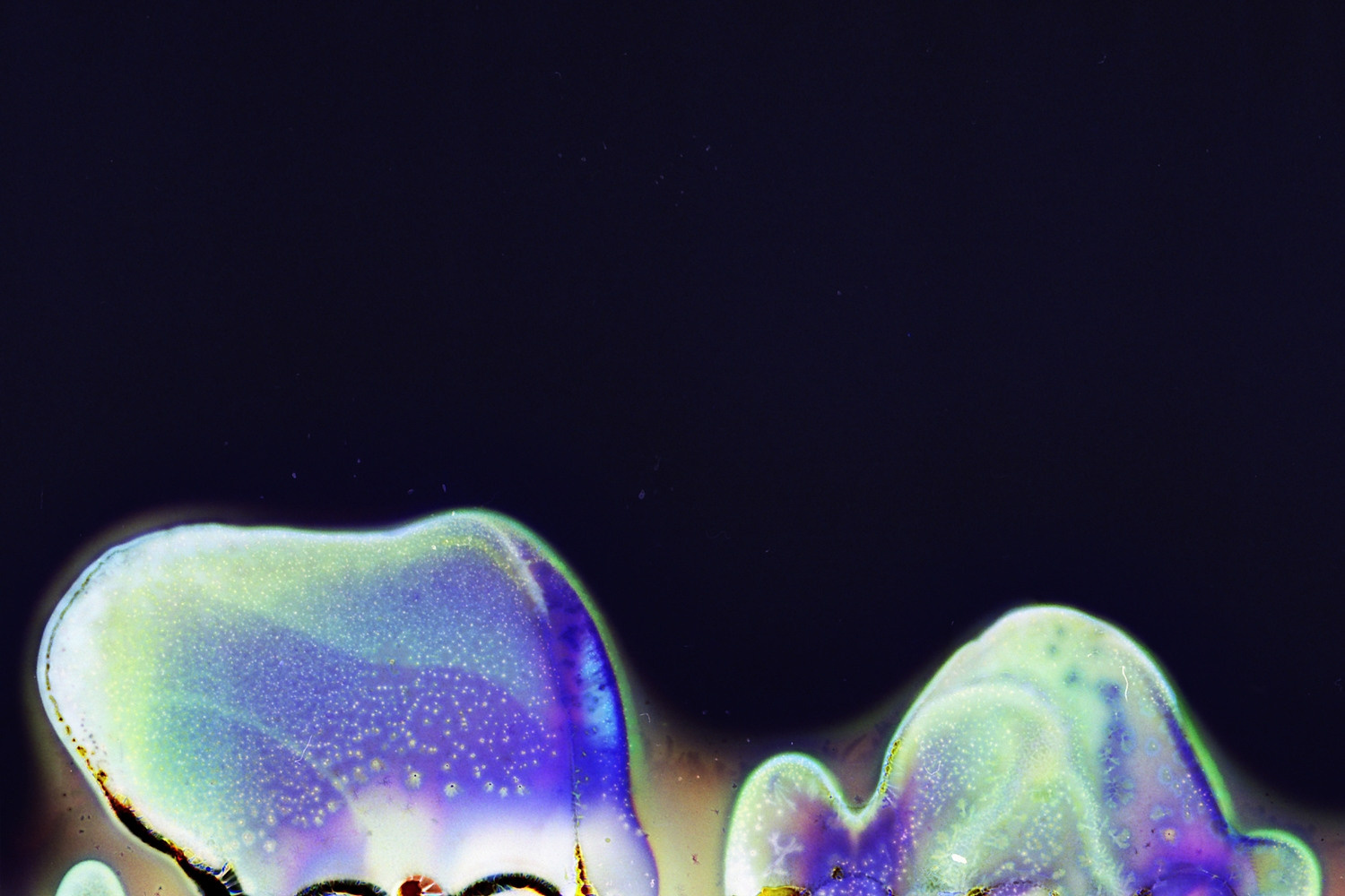 Выставка ''There are no miracles to come'' с 11 января по 11 февраля 2