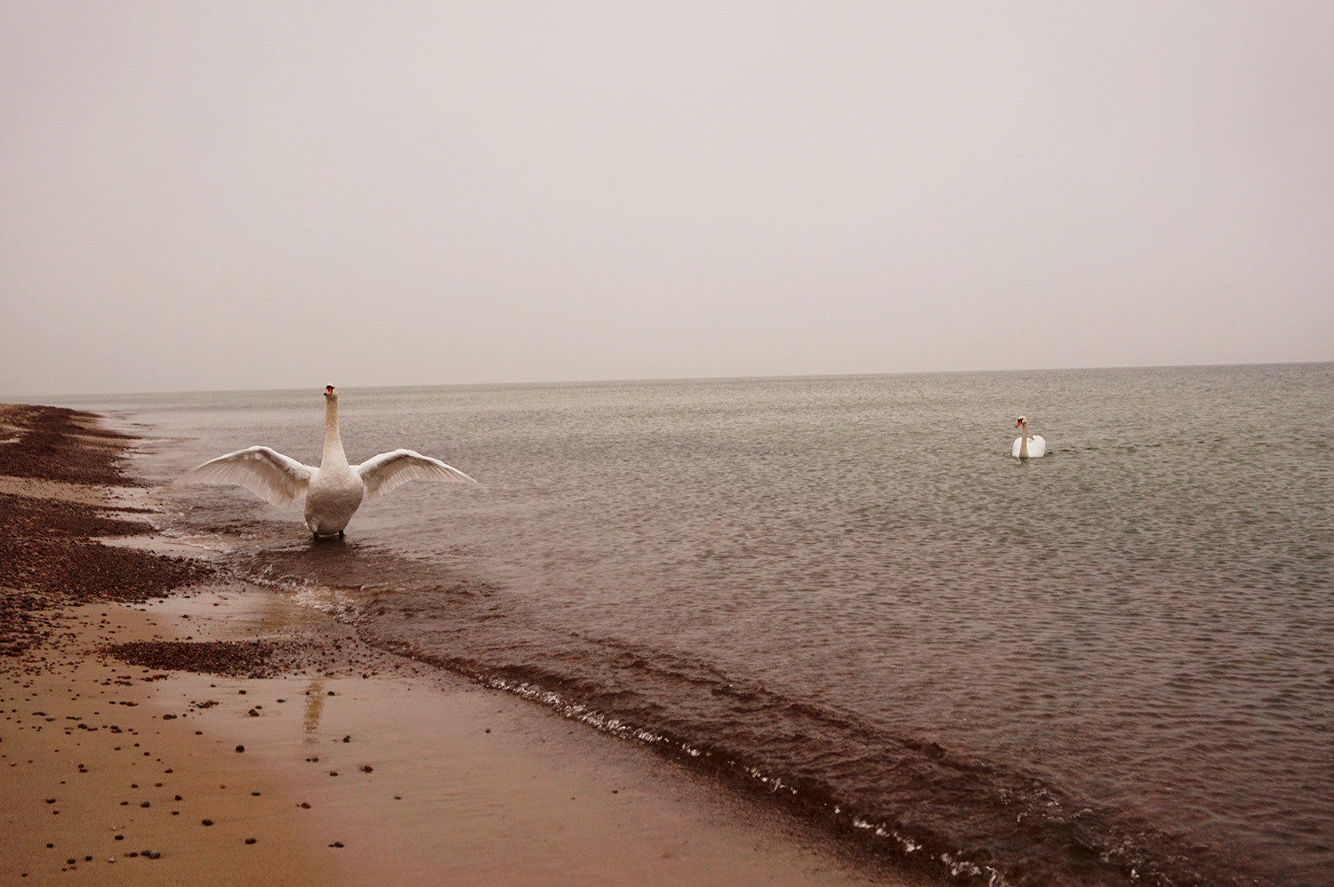 Выставка ''There are no miracles to come'' с 11 января по 11 февраля 2